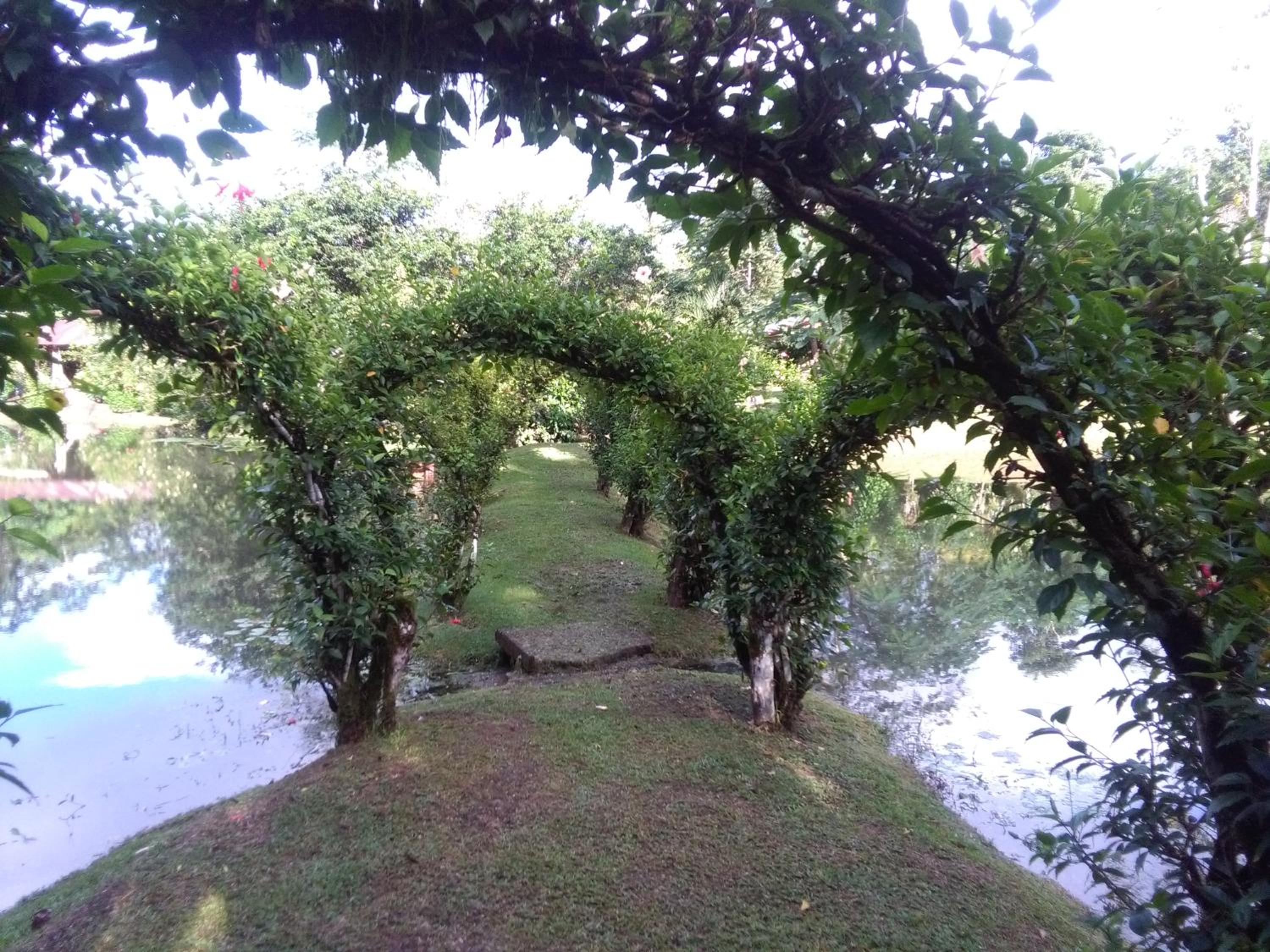 Photo 42