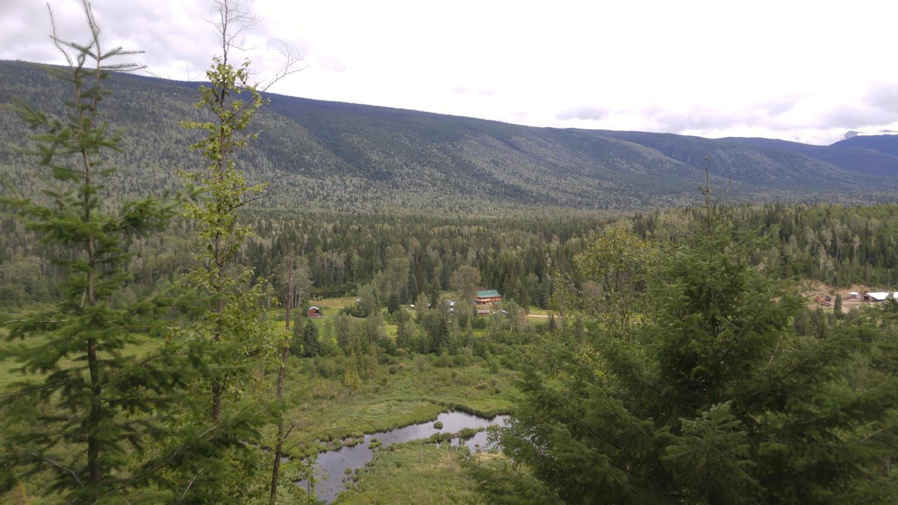 Wolfwood Guest Ranch