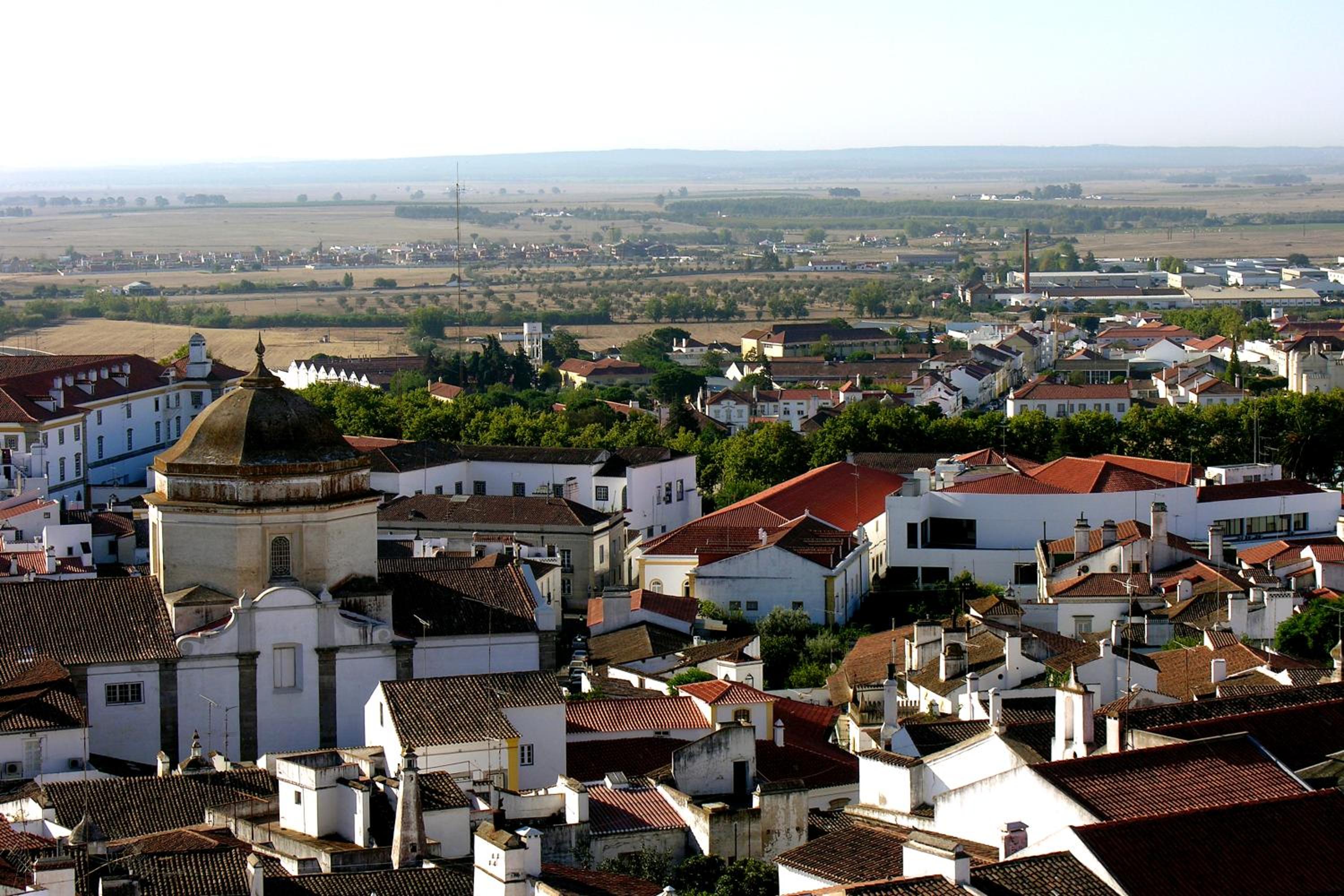 Photo 43