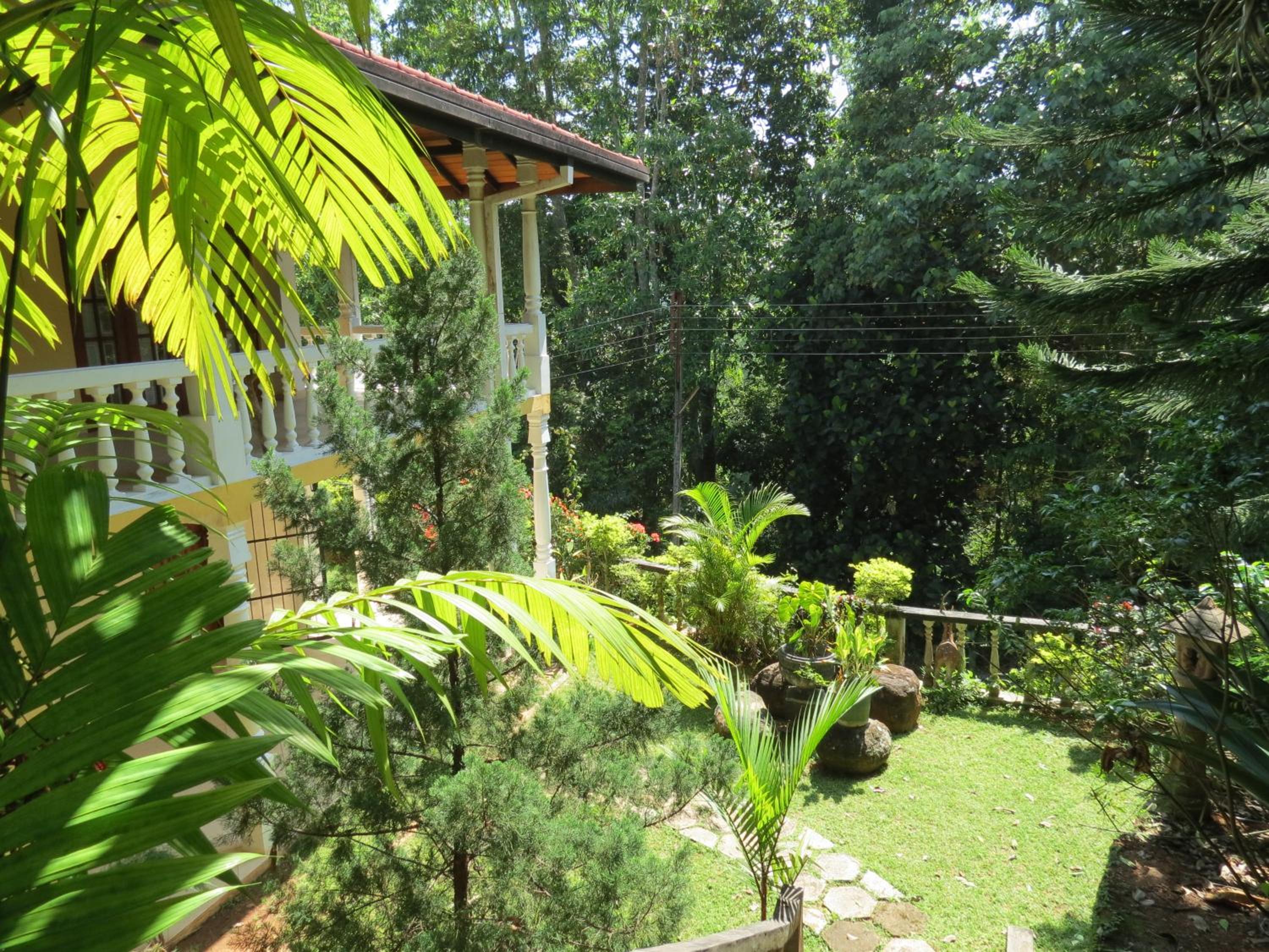 Hantana Forest Reserve Inn view 5