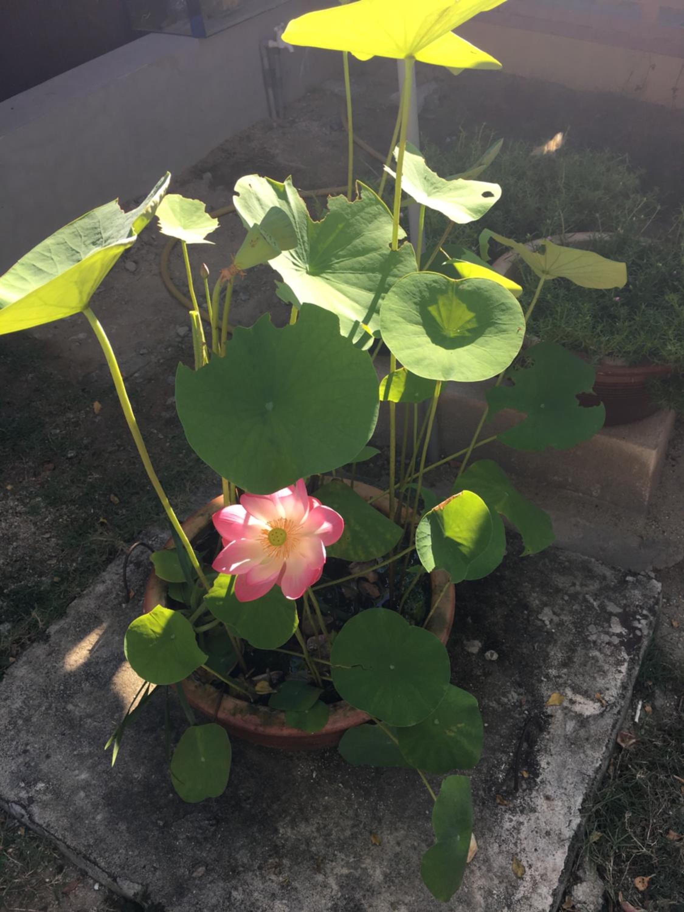 Photo 19