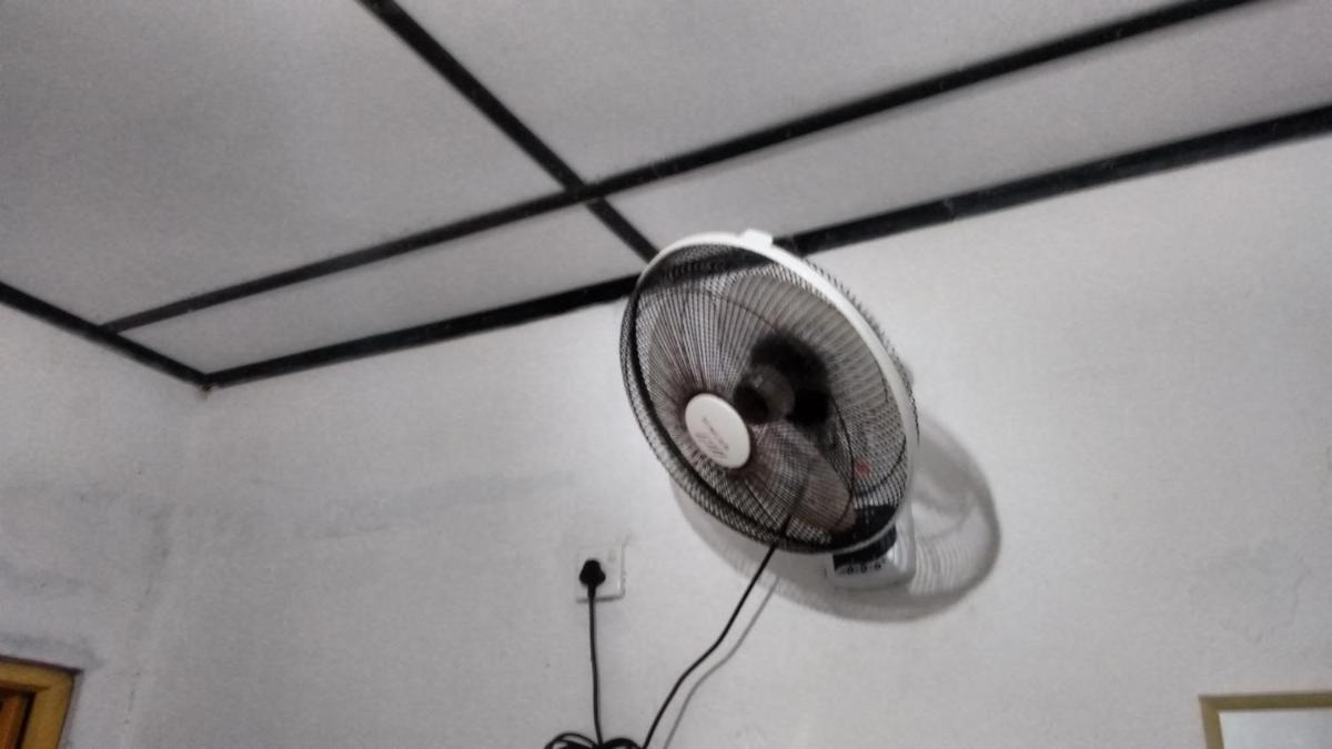 Photo 51
