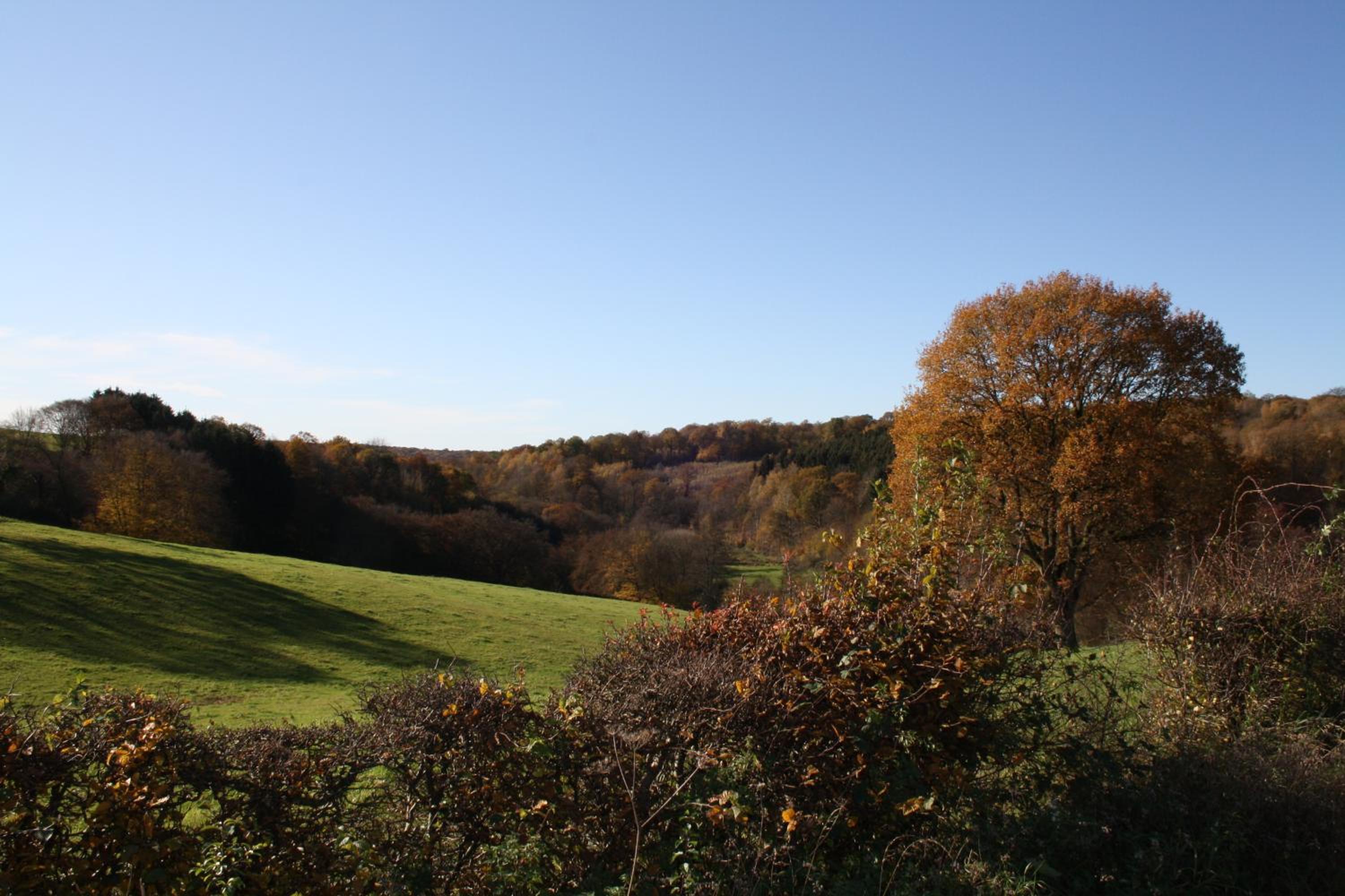 A l´Ombre Du Clocher