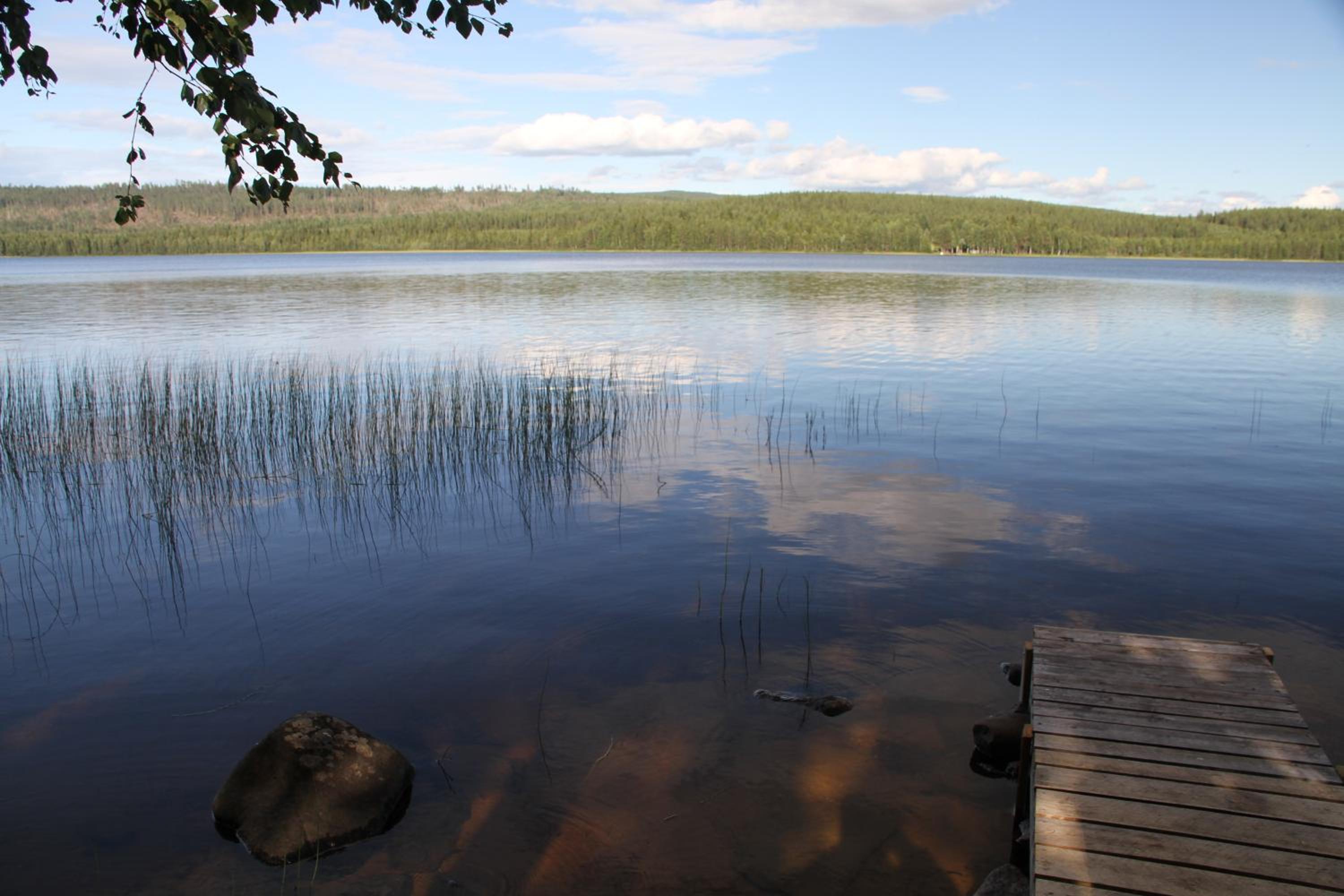 Photo 49