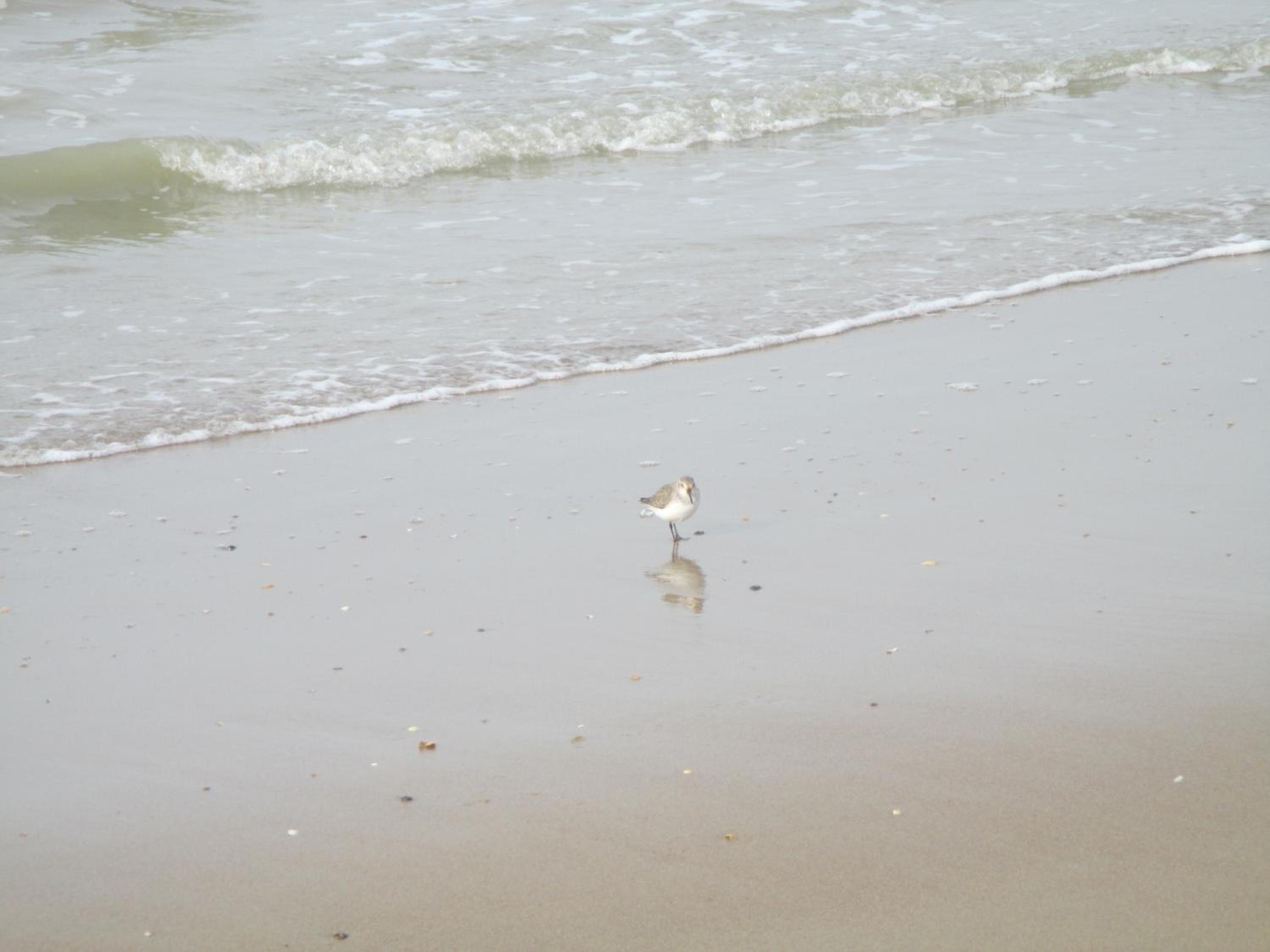 Photo 47