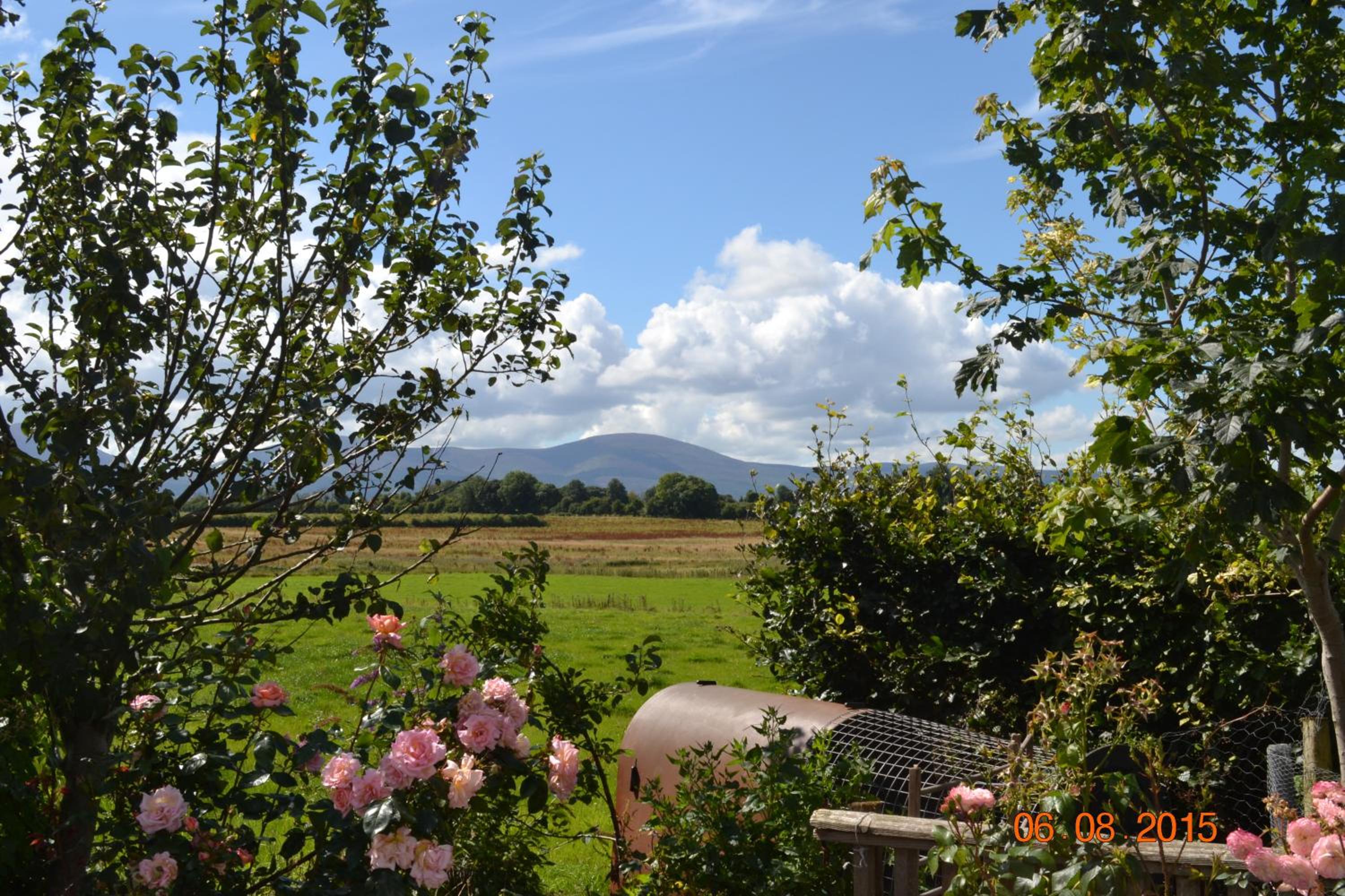 Annaswood B&B & Tours view 5