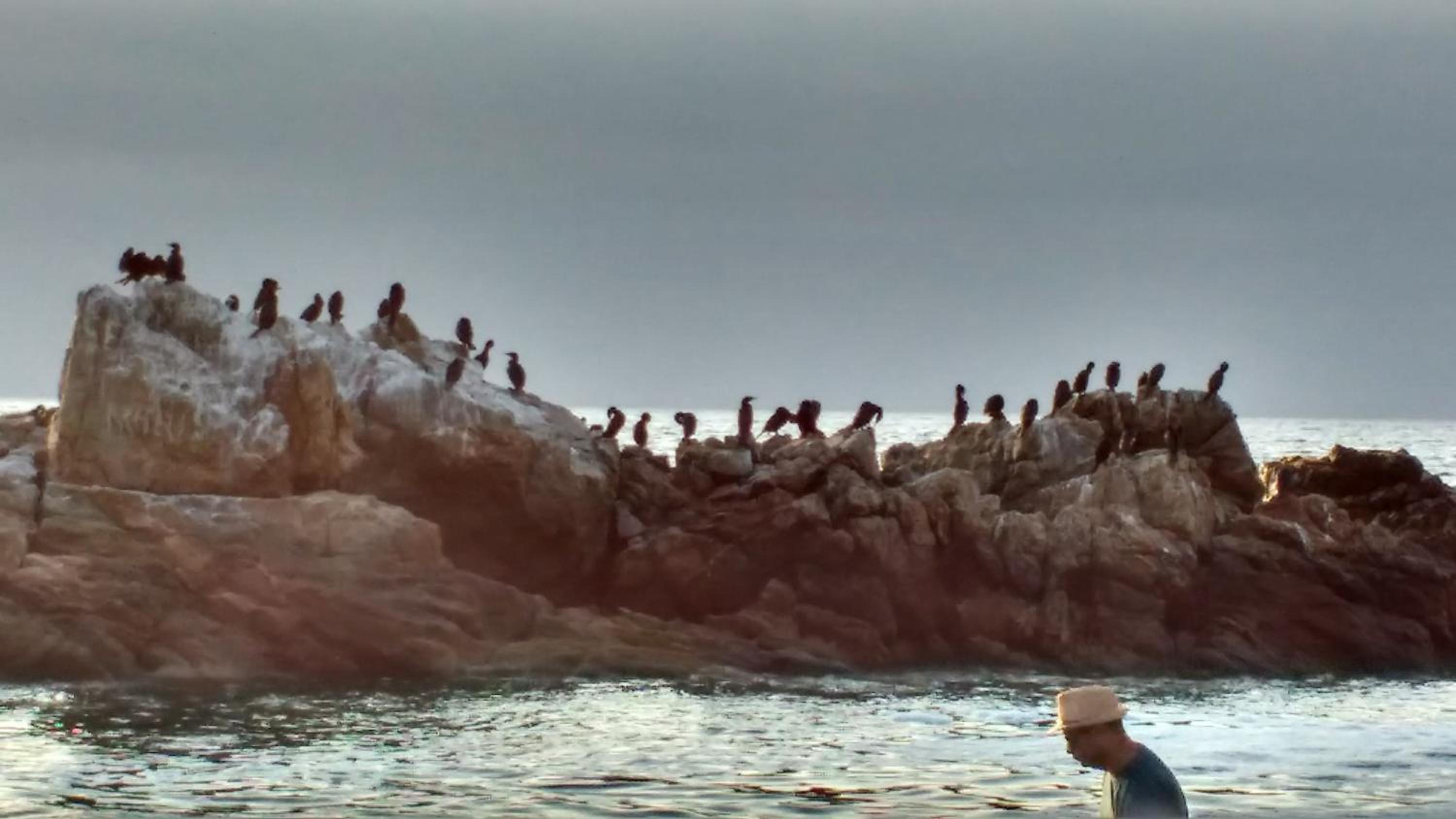 A Pasos de la Playa