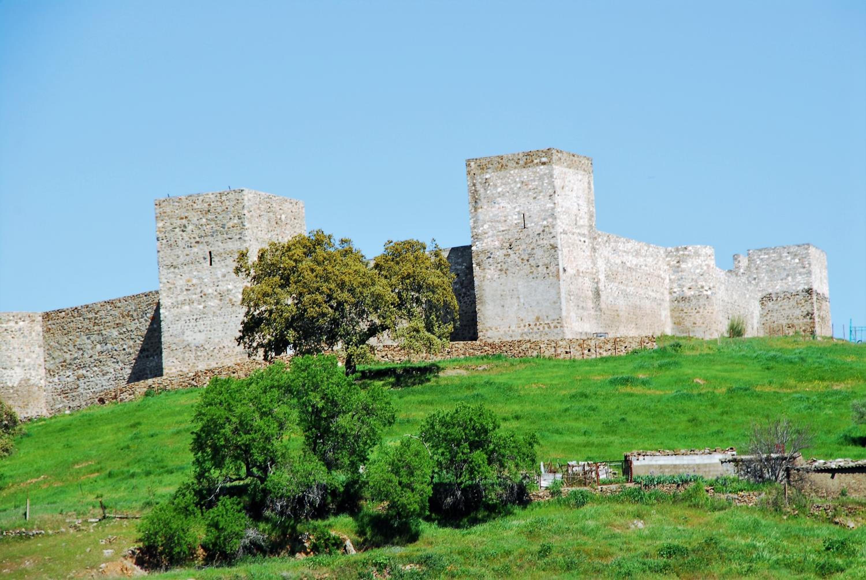 Photo 45