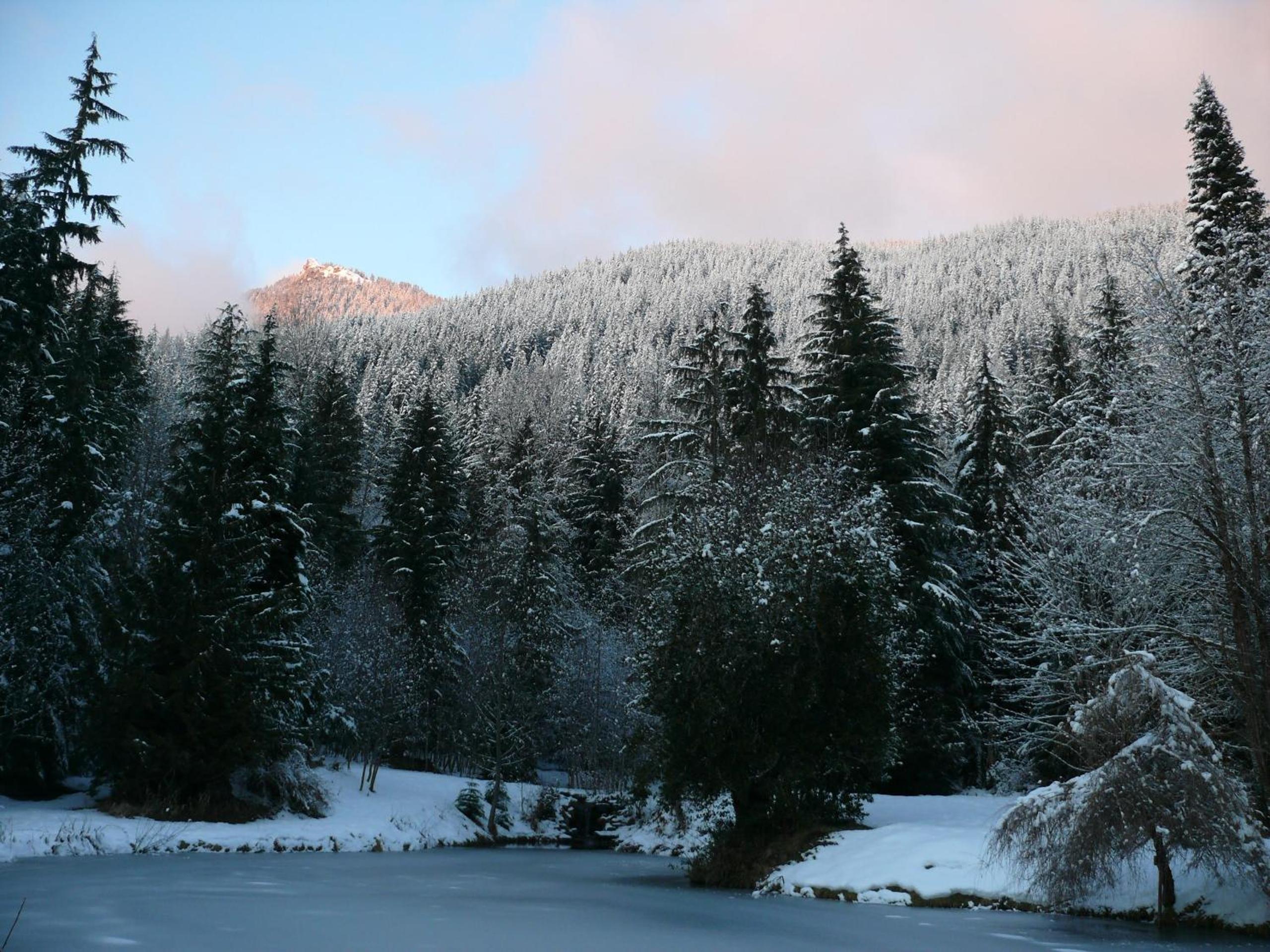 Alexander's Lodge