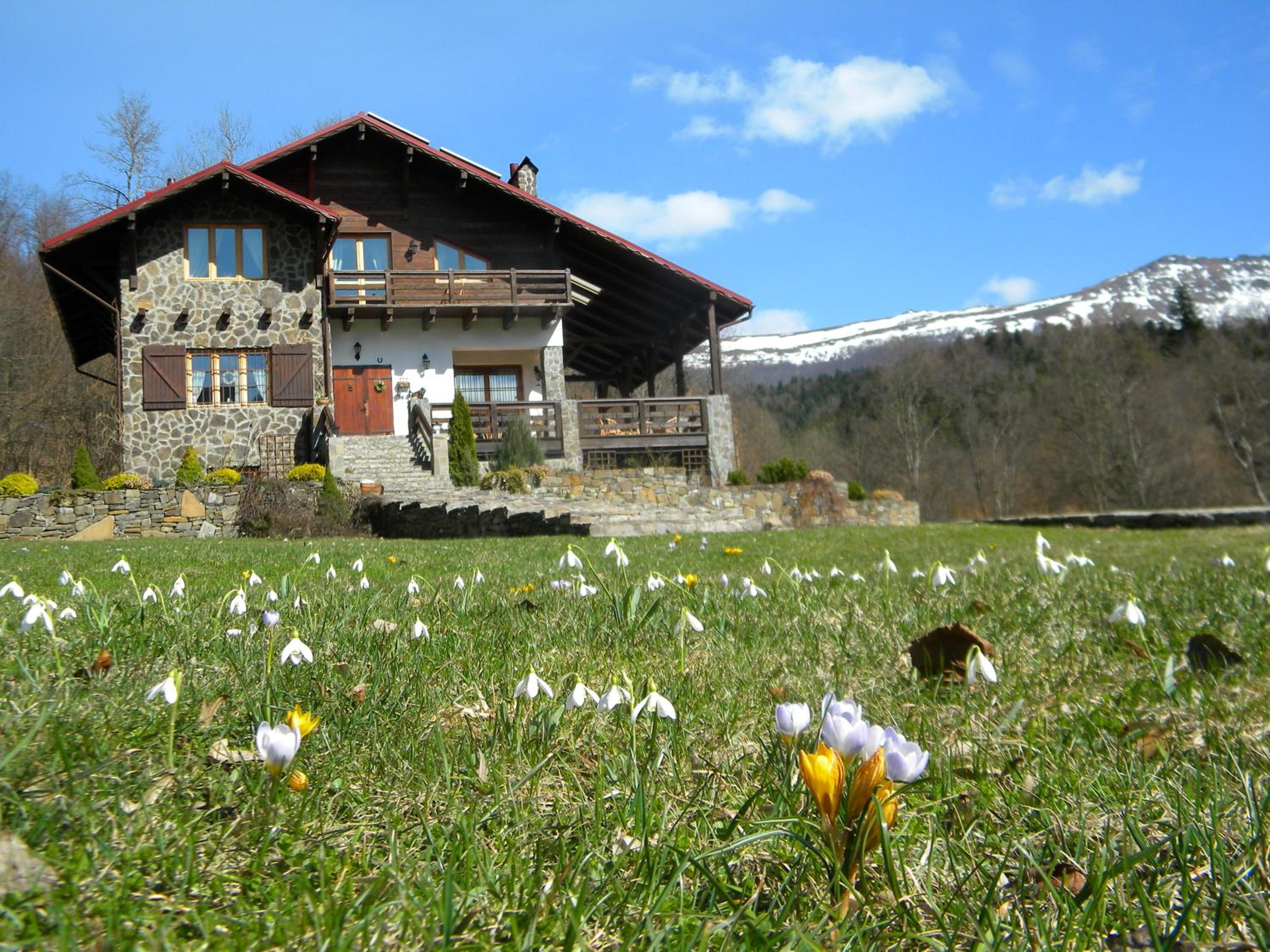 Photo 6
