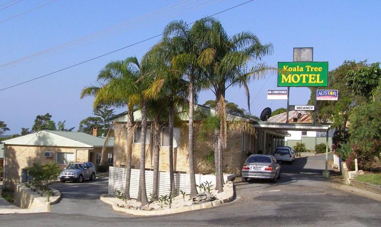 Hotel Koala Tree Motel - Image 1