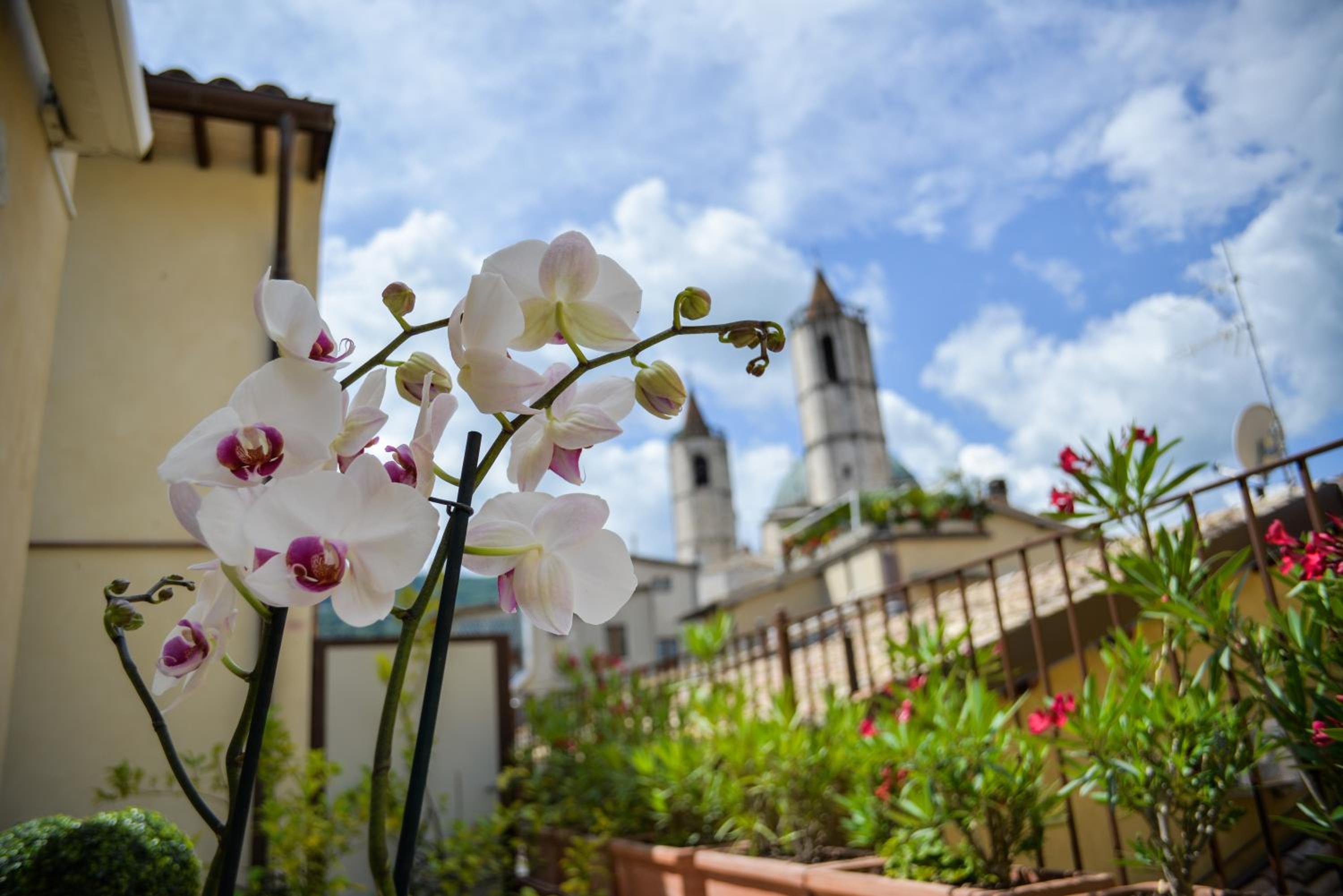 Di Sabatino Resort - Suite Apartments & Spa