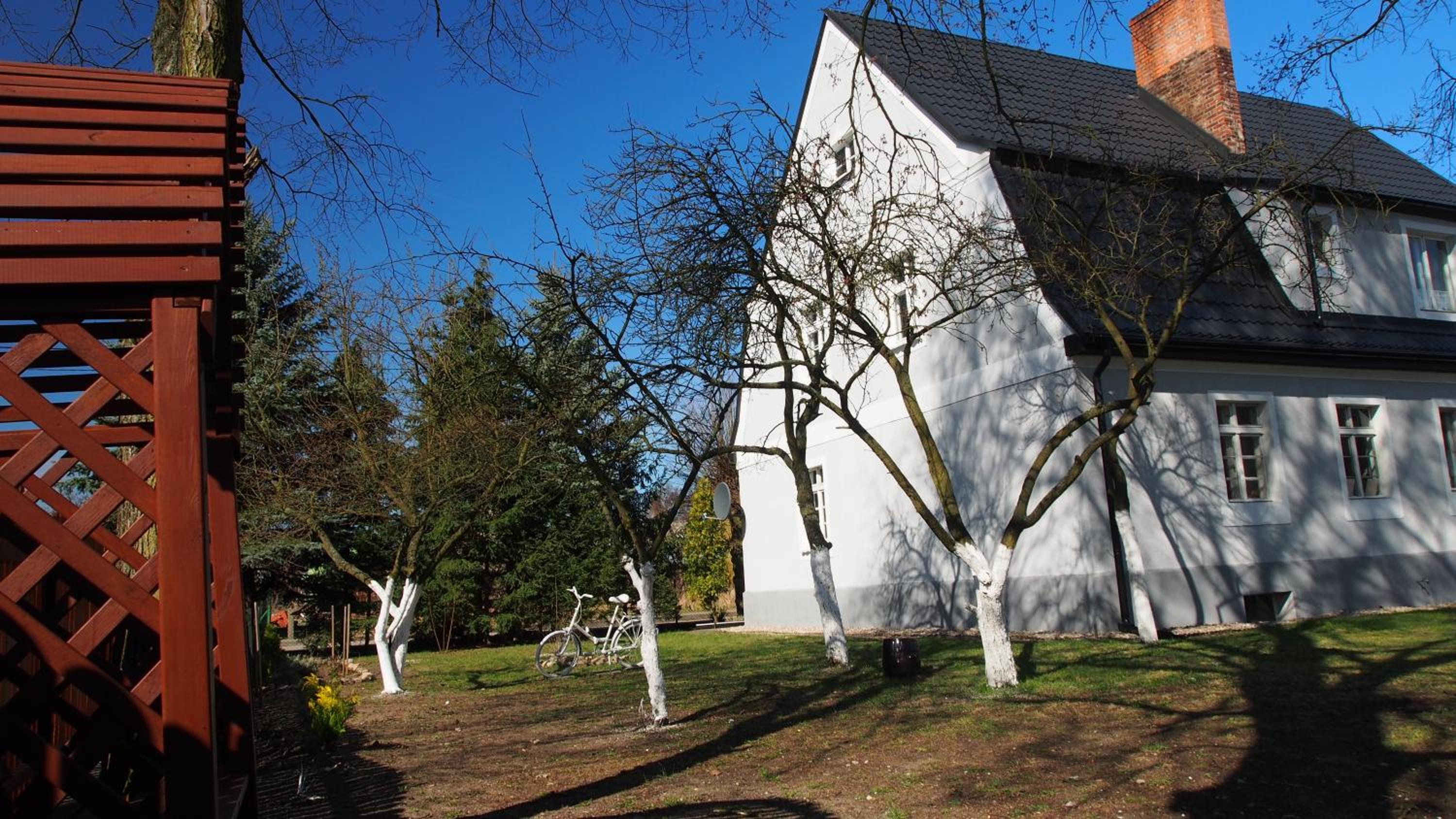 Photo 33