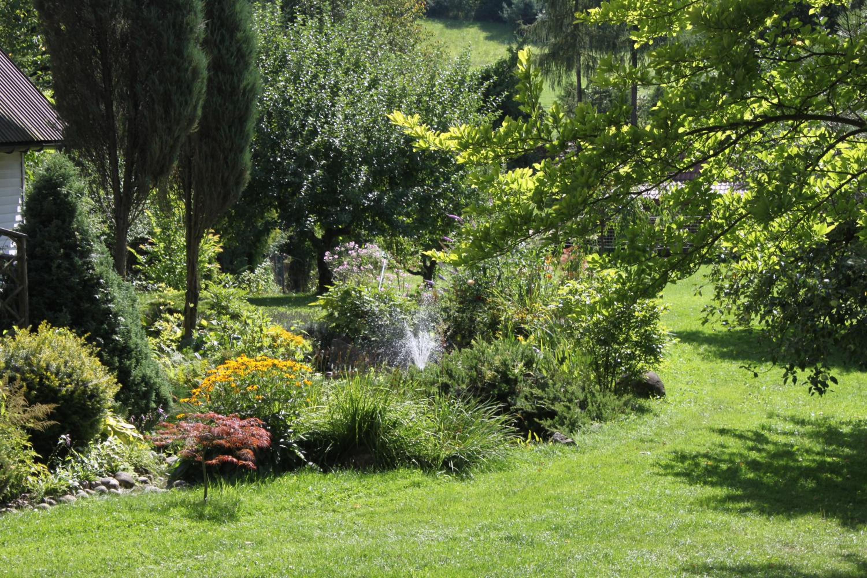 Photo 49