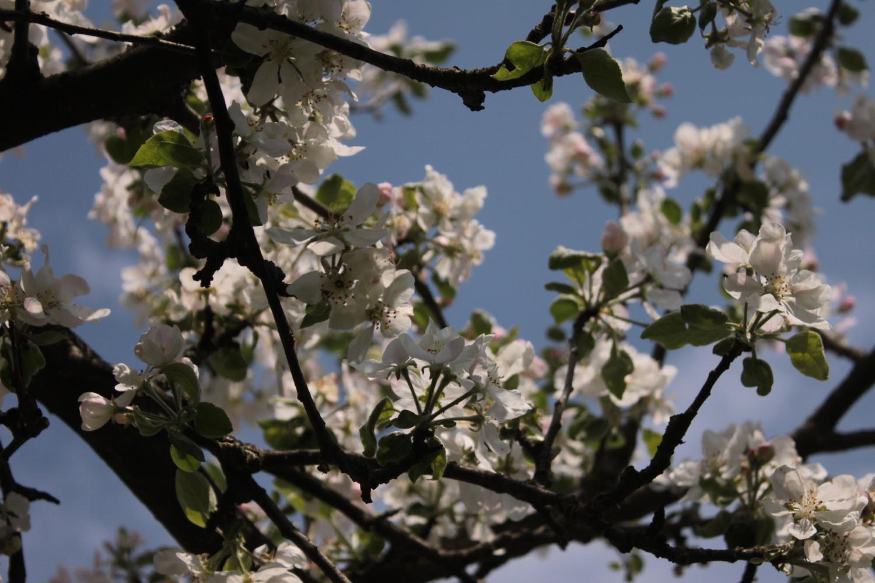Photo 46