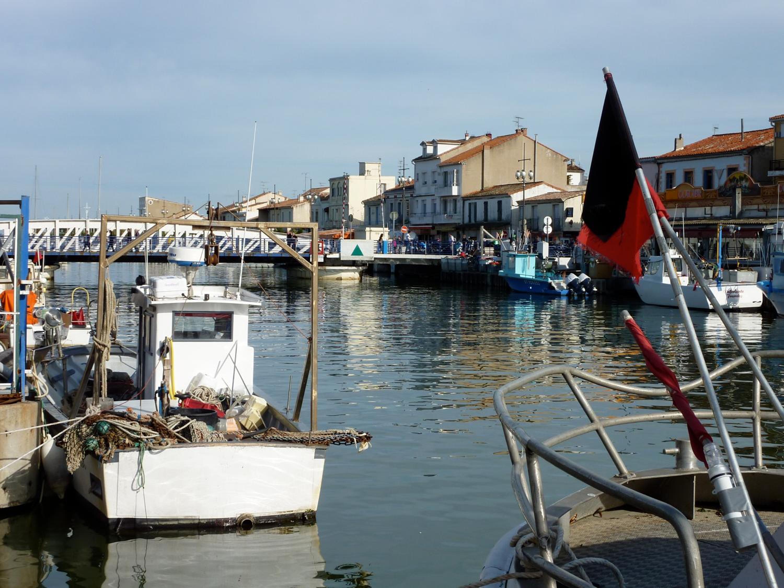 Photo 44
