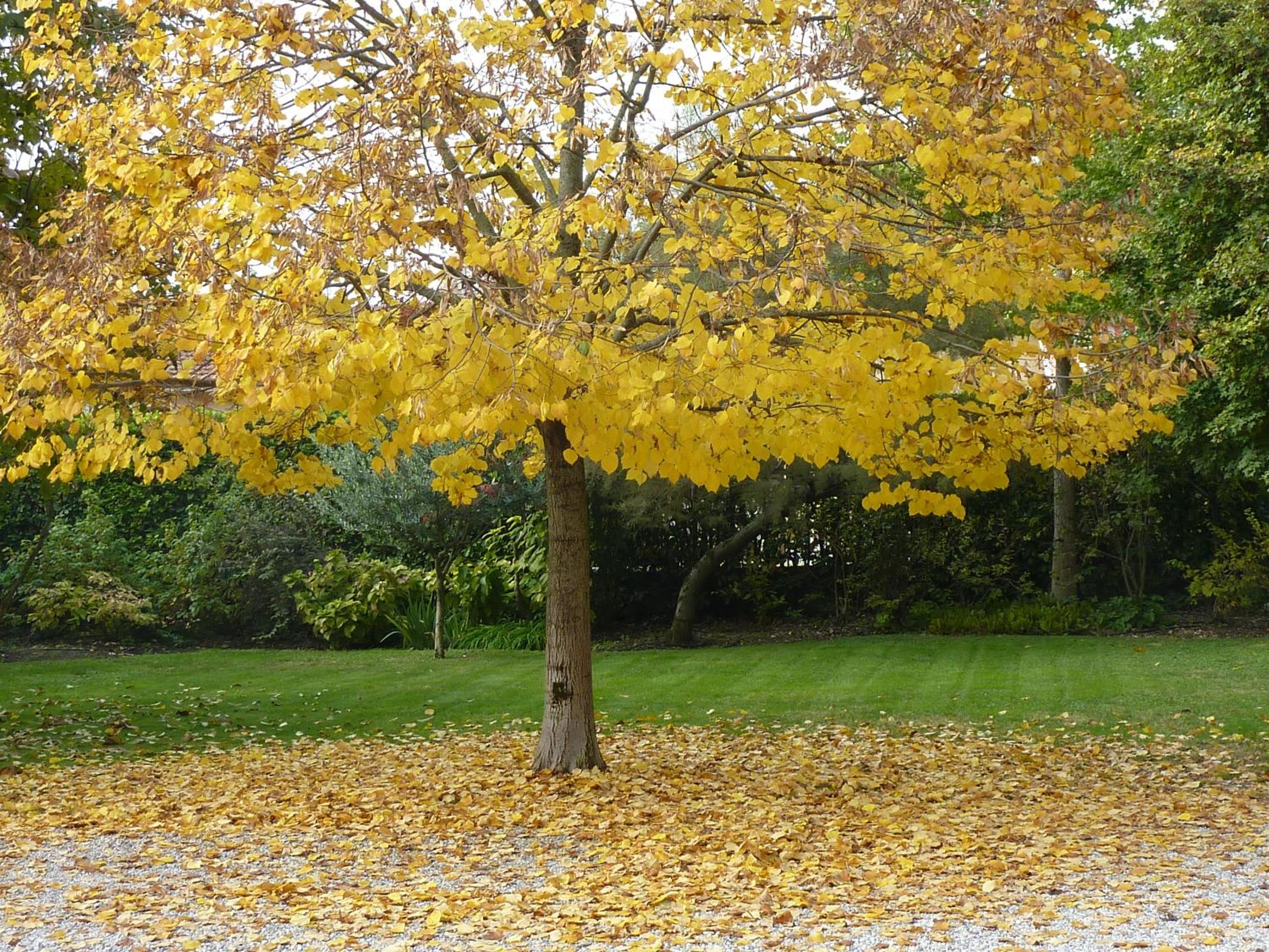 Photo 32