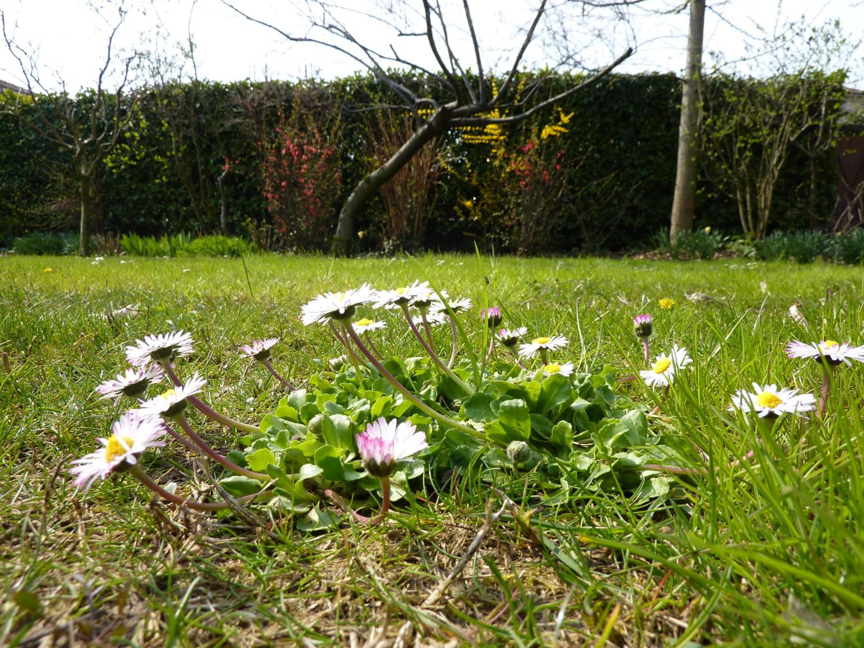 Photo 26