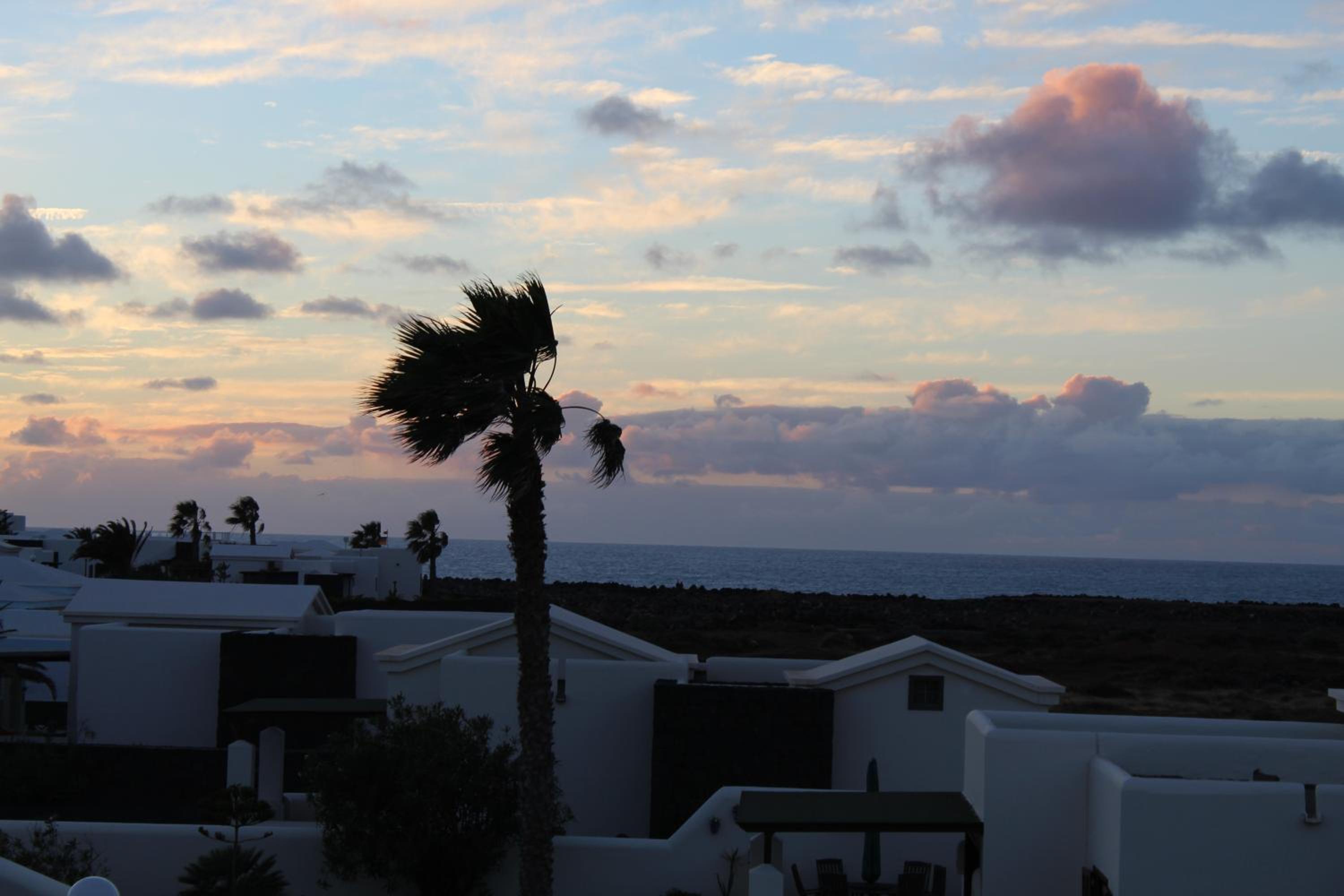 Apartamento Frida Faro Park - Property Image 39