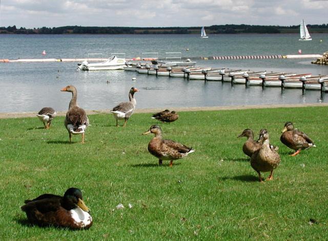 Grafham Water Lodge