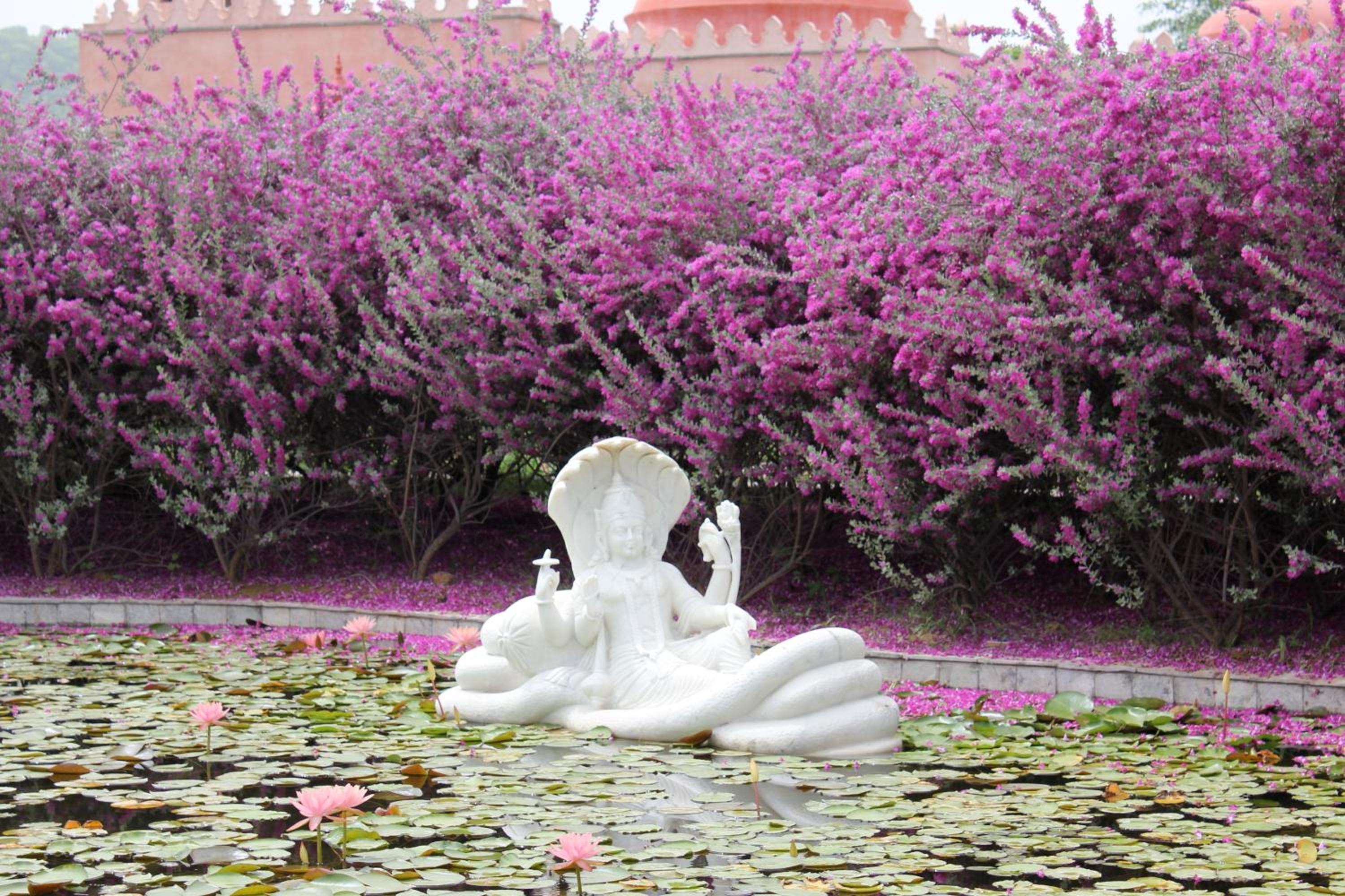 Tree of Life Resort & Spa, Jaipur
