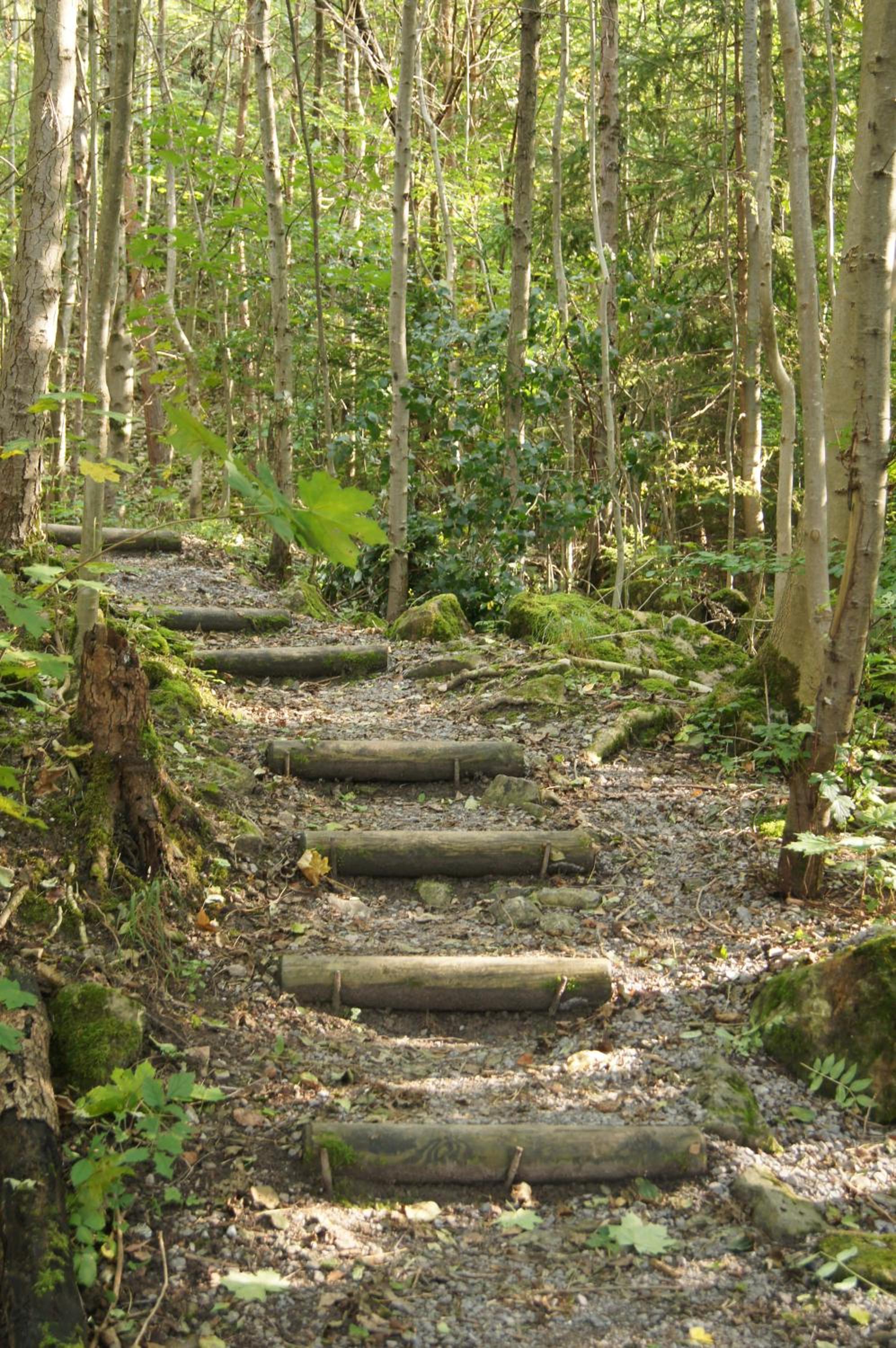 Landgasthof Hirschen
