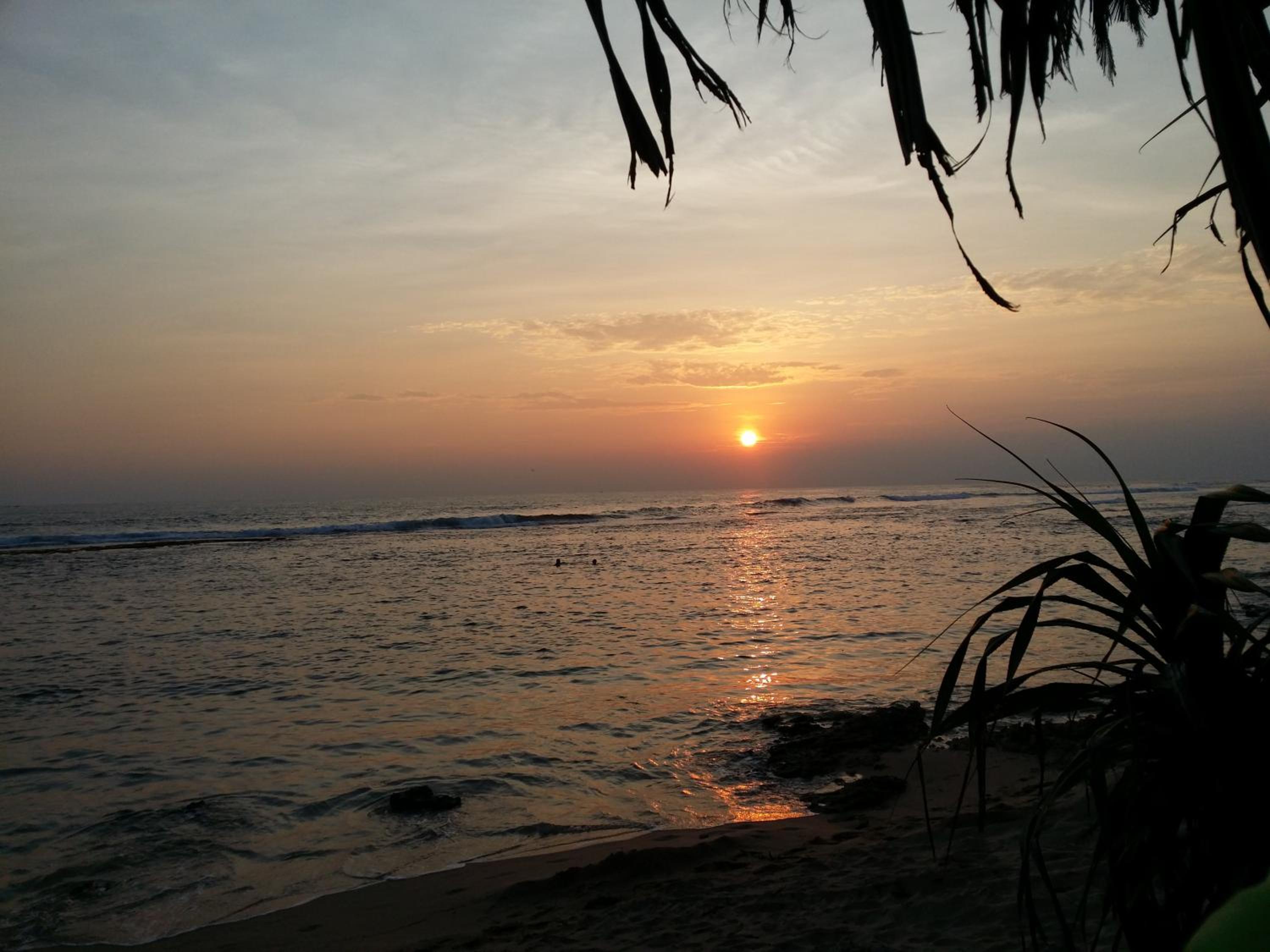 Photo 42