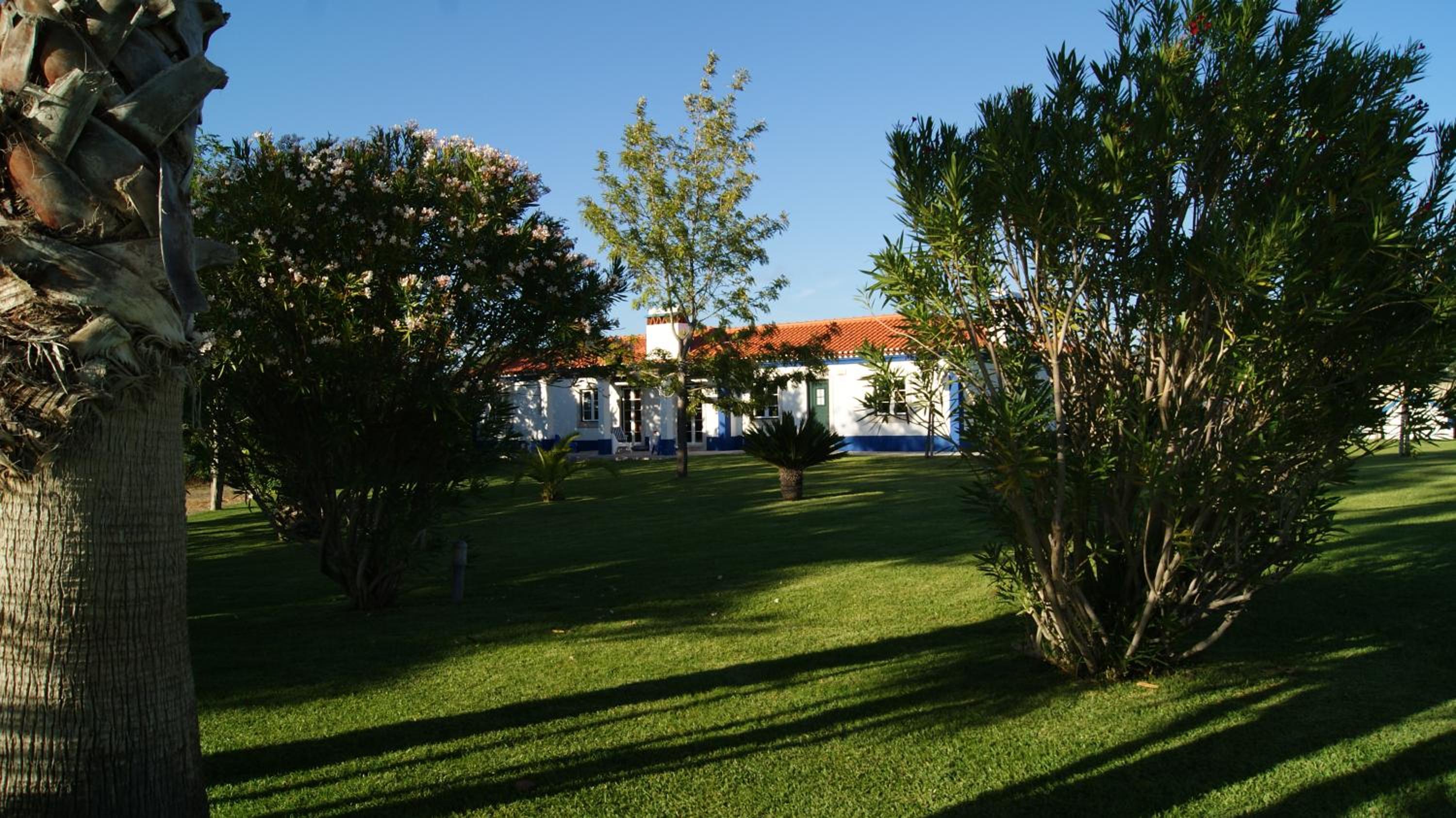 Photo 47