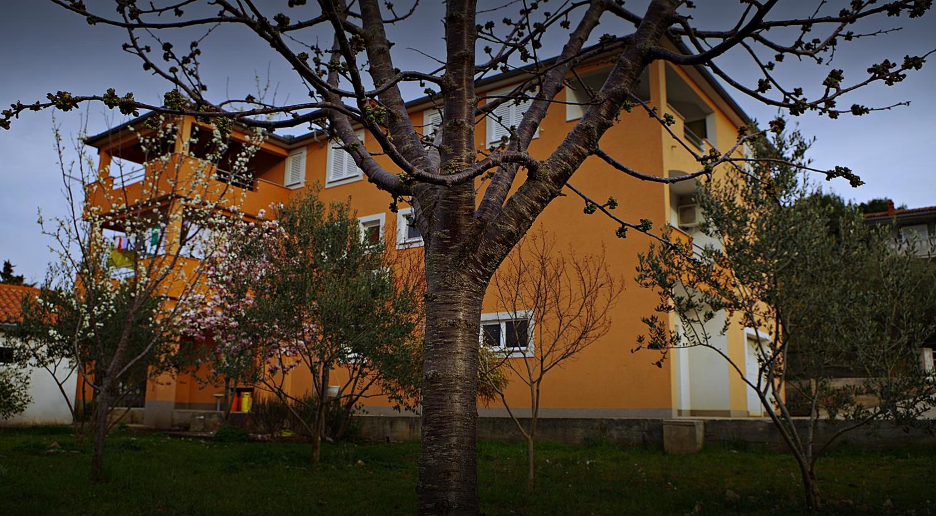 Apartmani Mihaela Dobropoljana 52 view 3