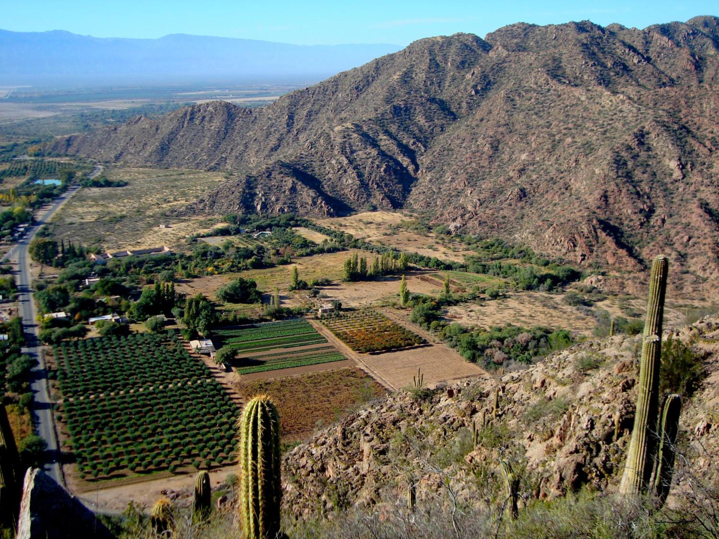 Cabañas Valle San Miguel