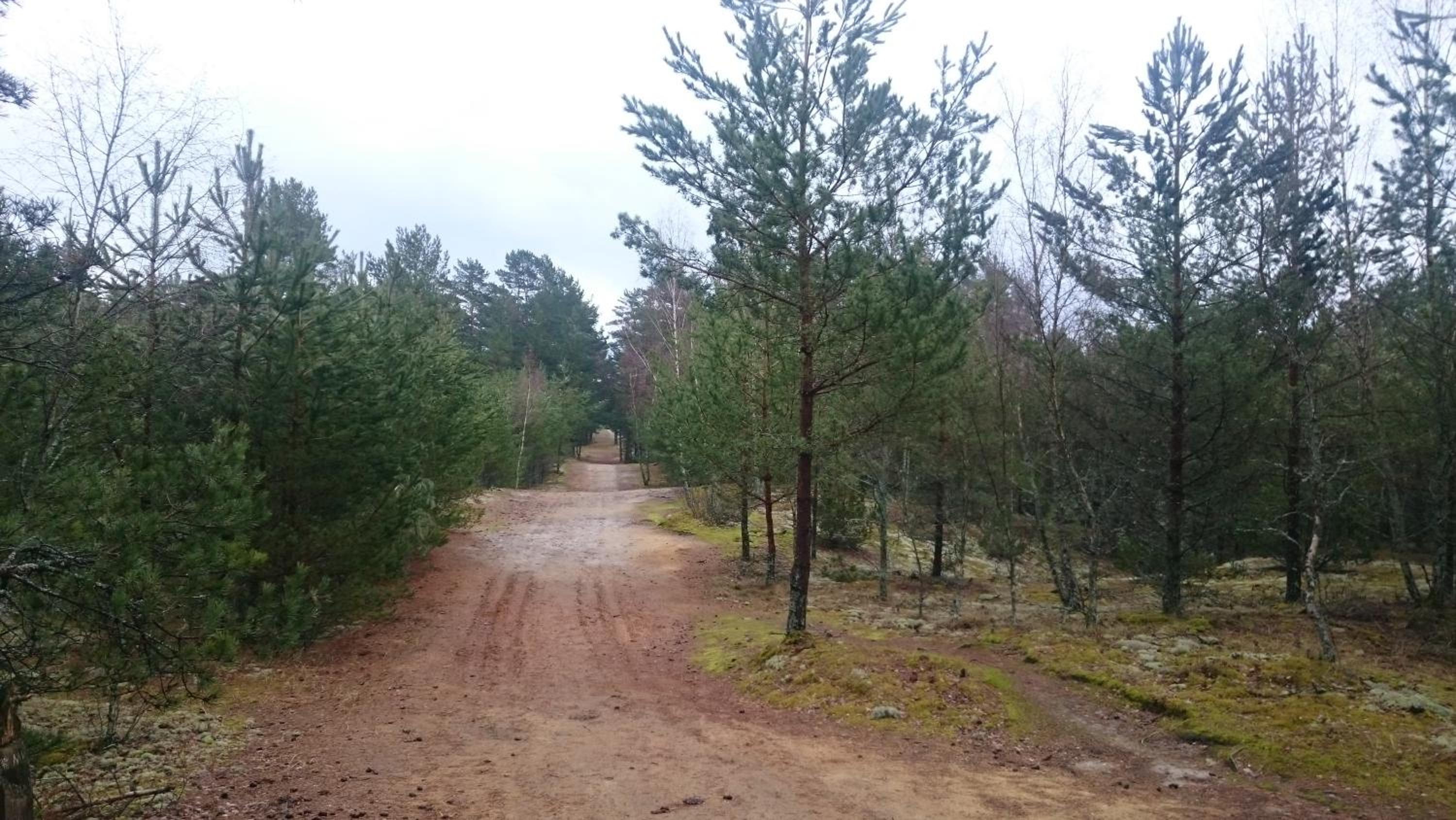 Nostalgija iš balkono