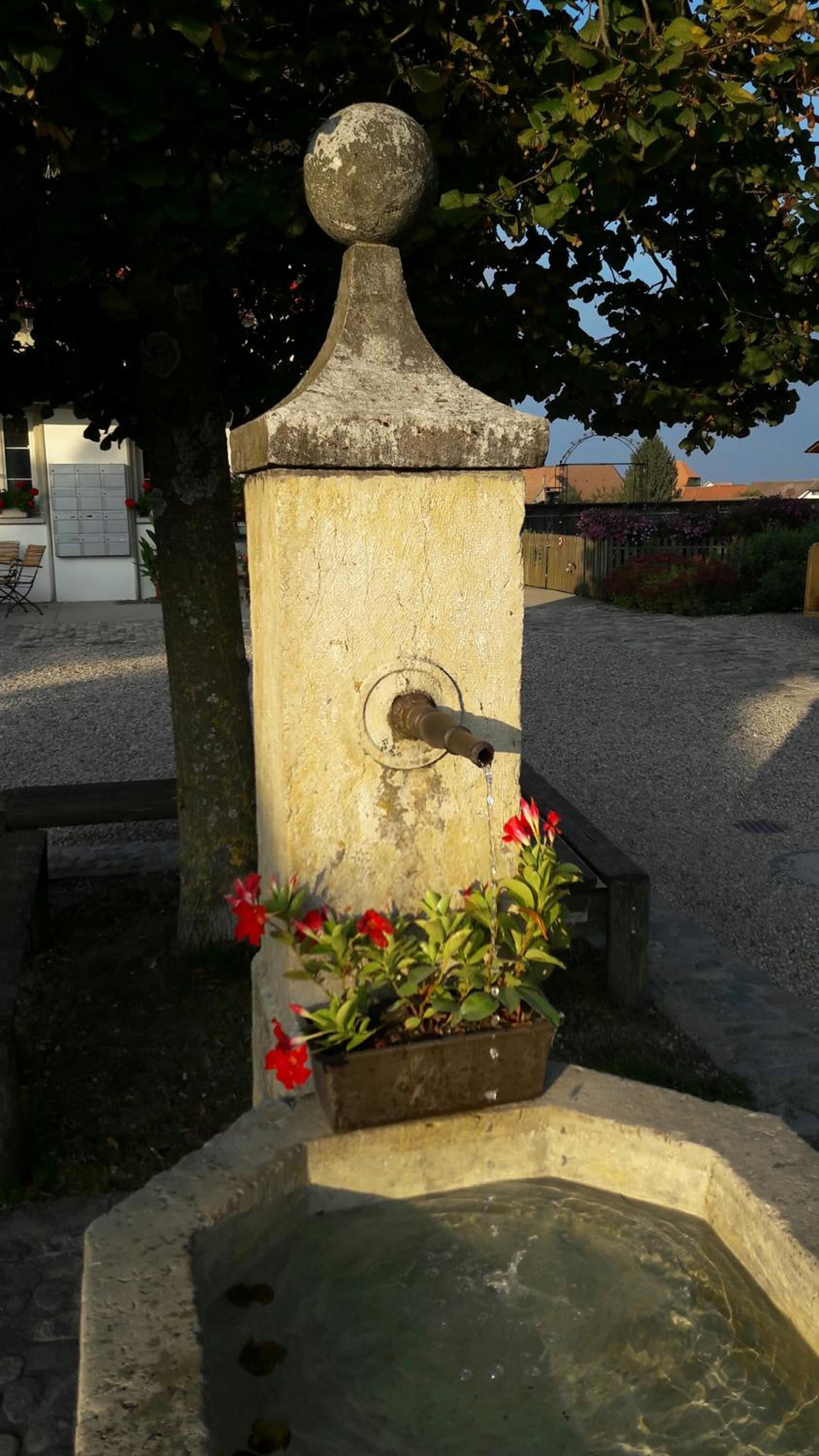 Bühl 3