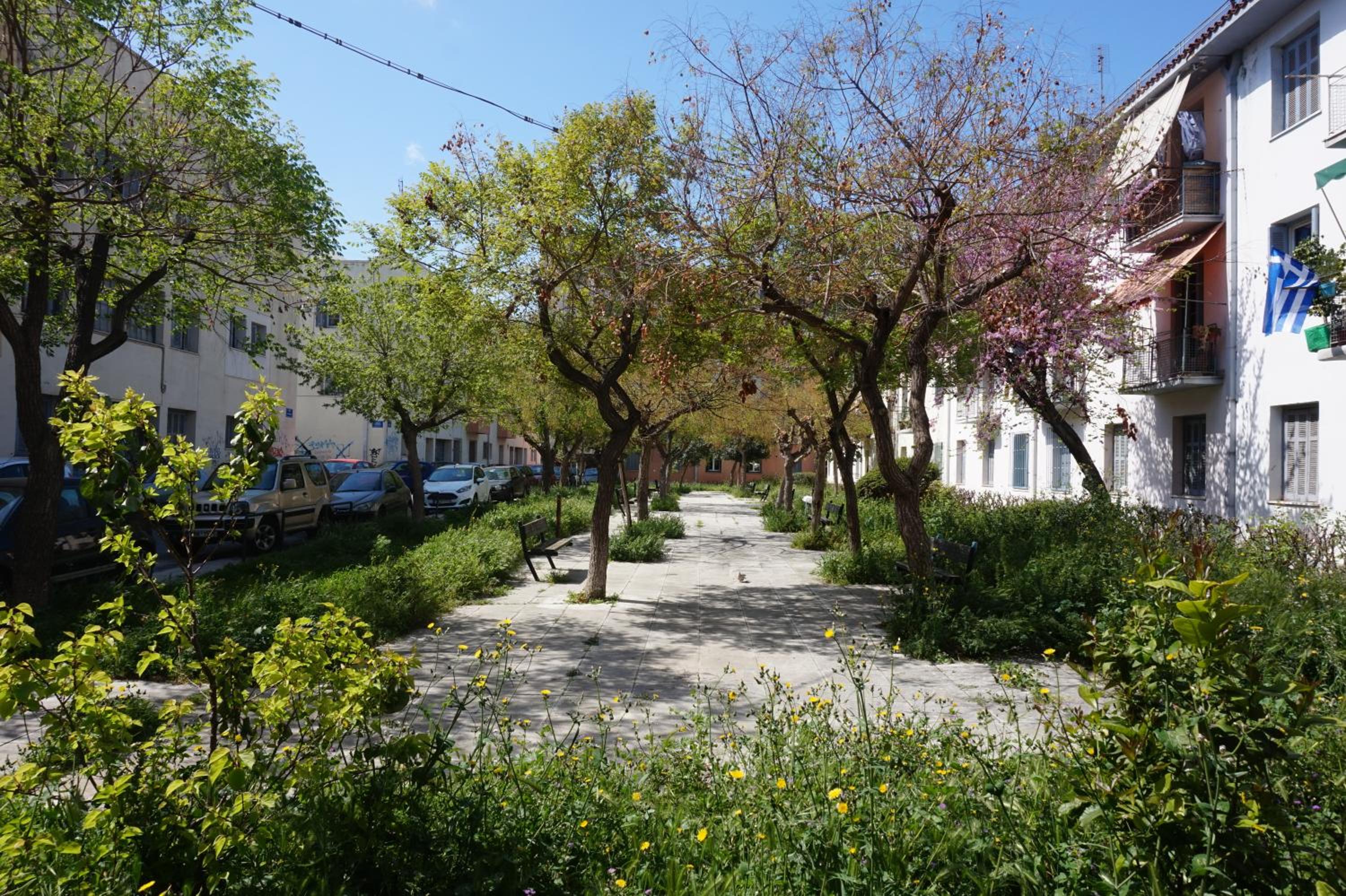 KYMA Apartments - Athens Acropolis 4