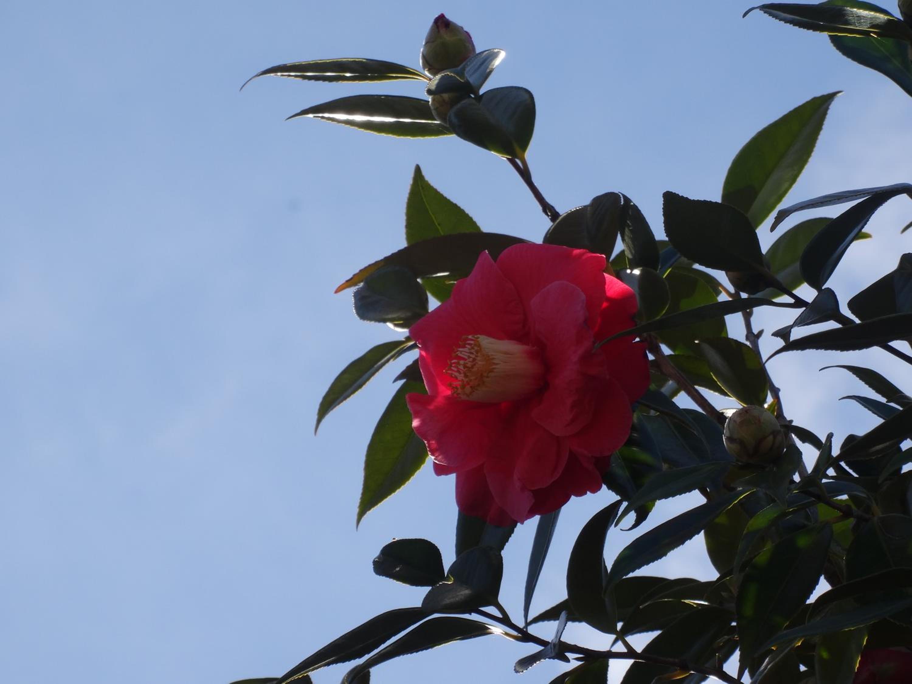 Photo 20