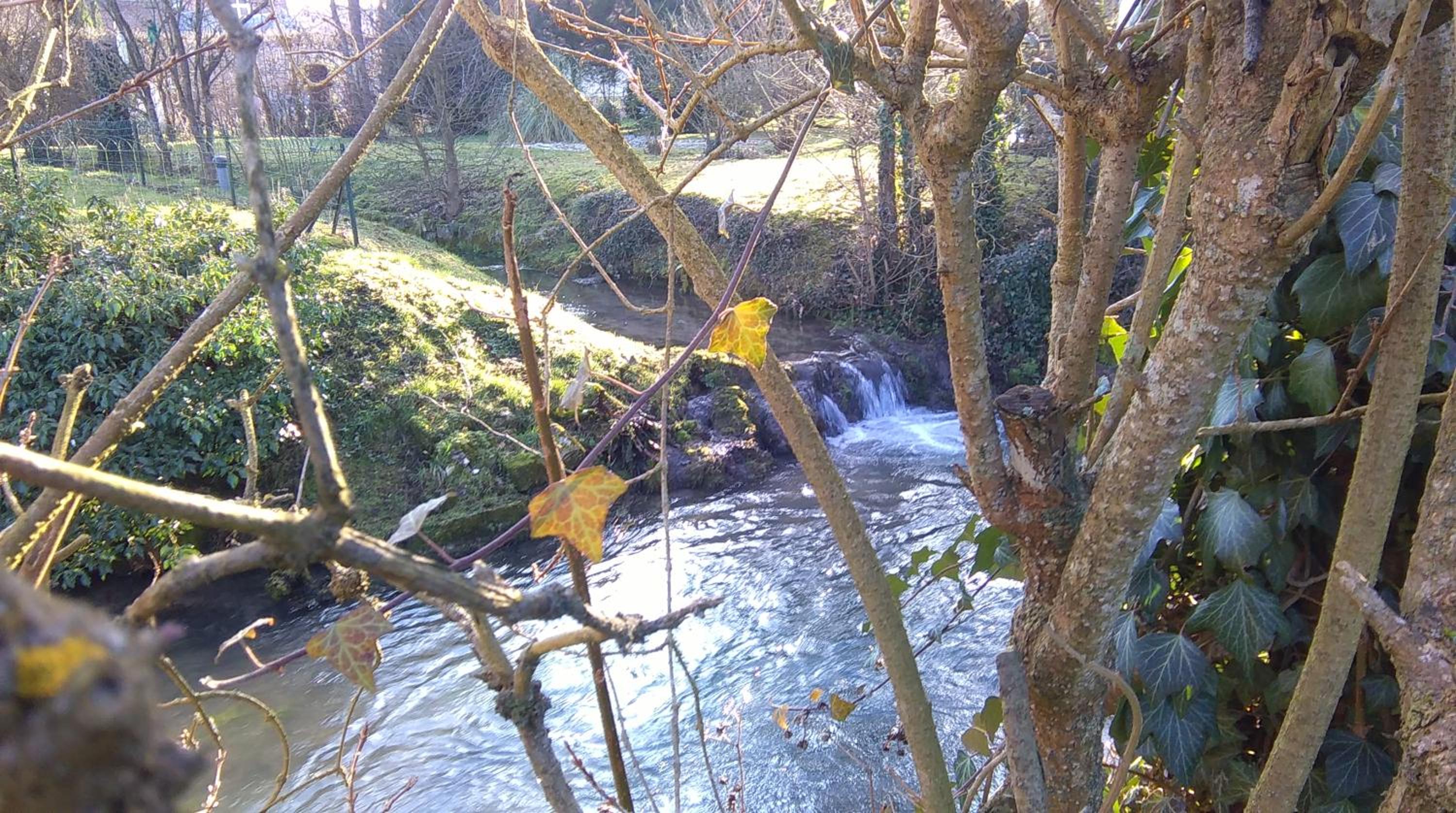 Photo 27