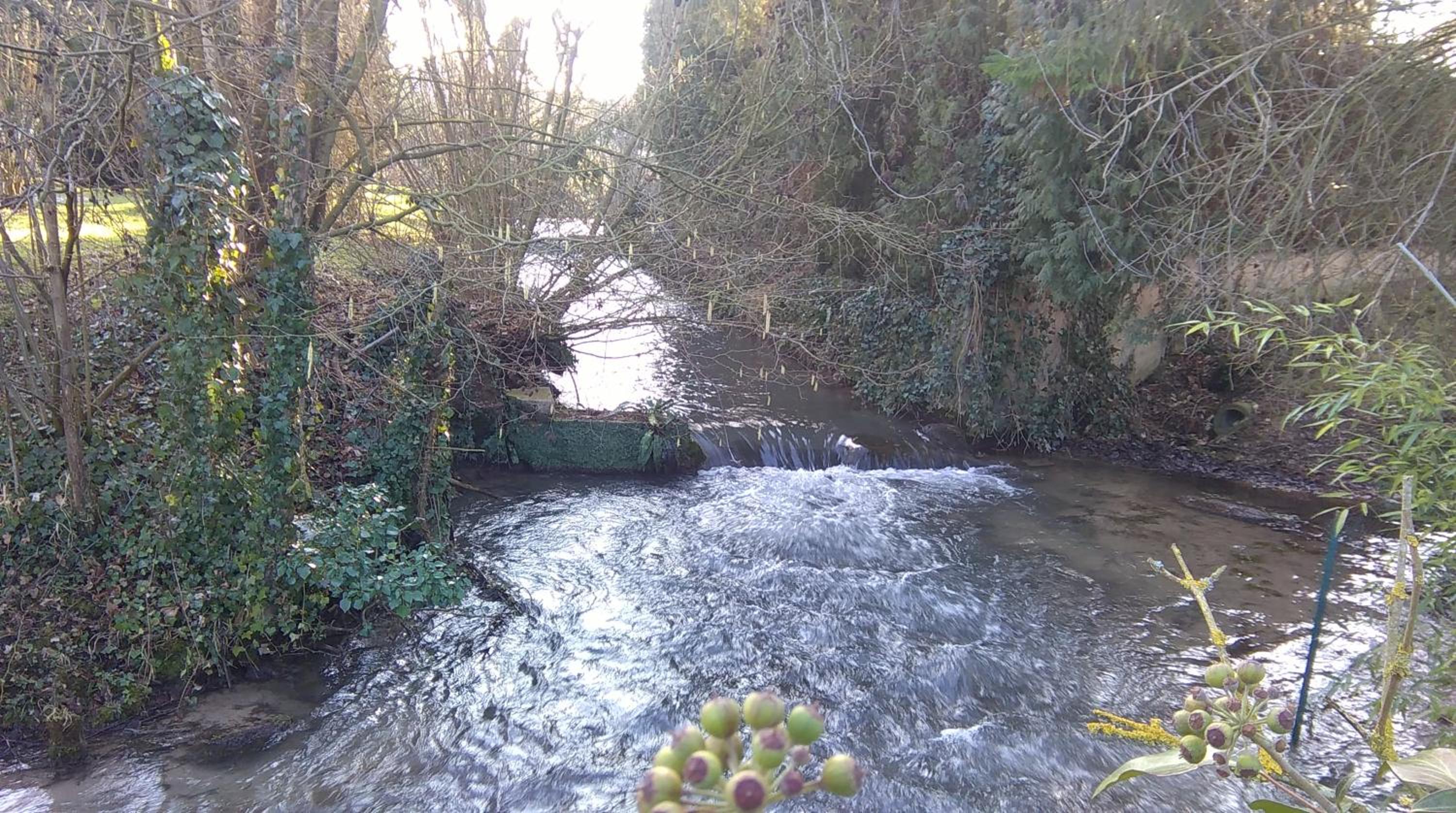 Photo 14