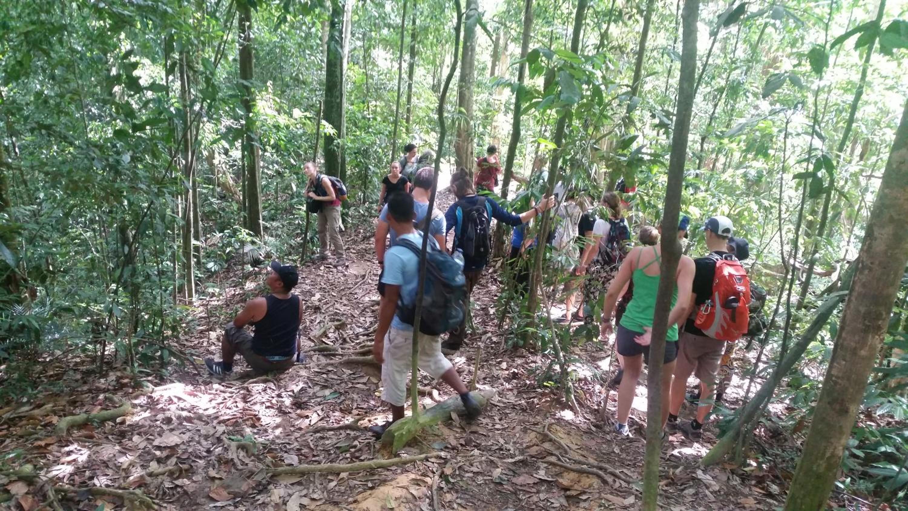Batu Kapal Guest House & Jungle trekking
