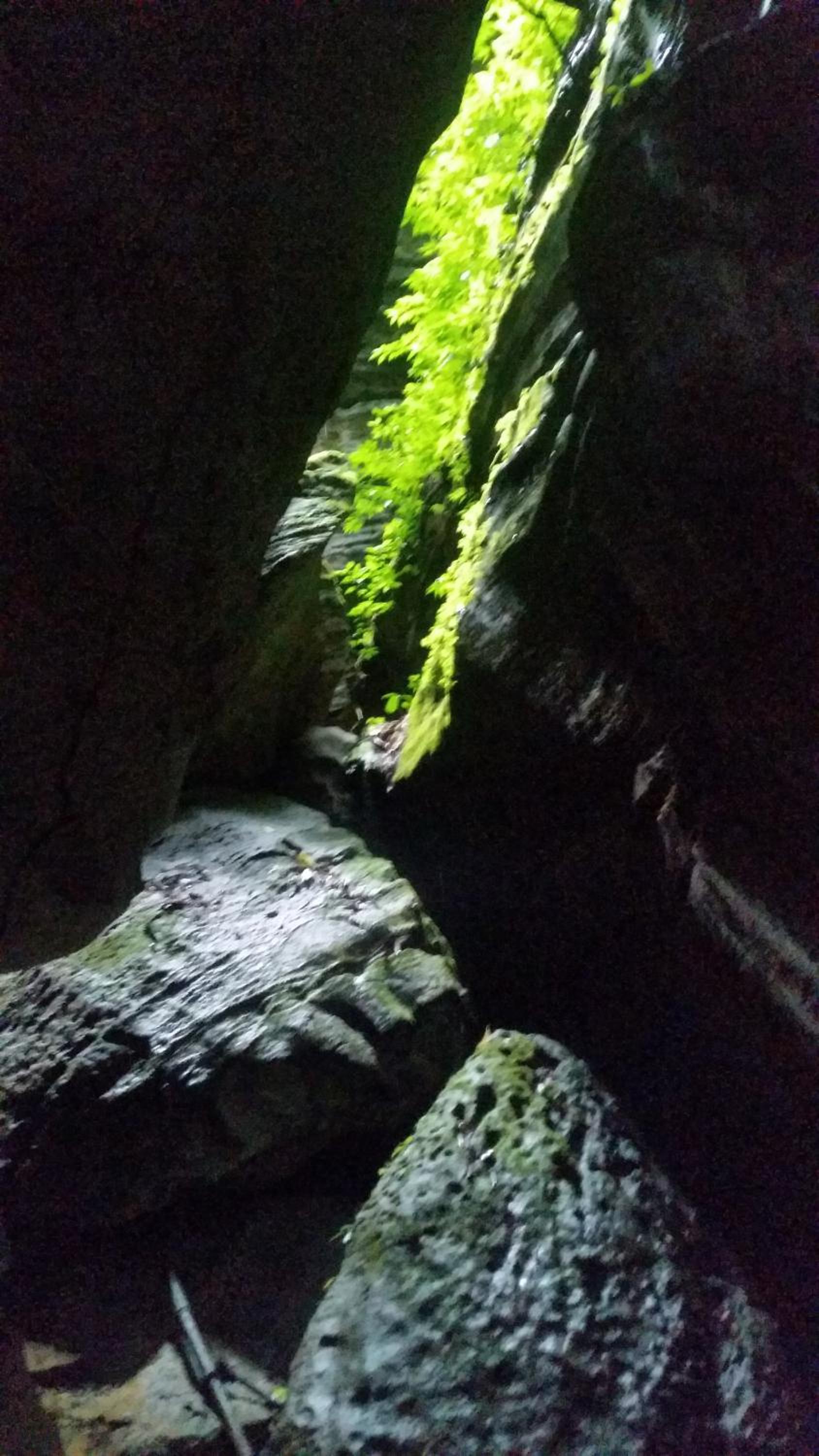 Batu Kapal Guest House & Jungle trekking