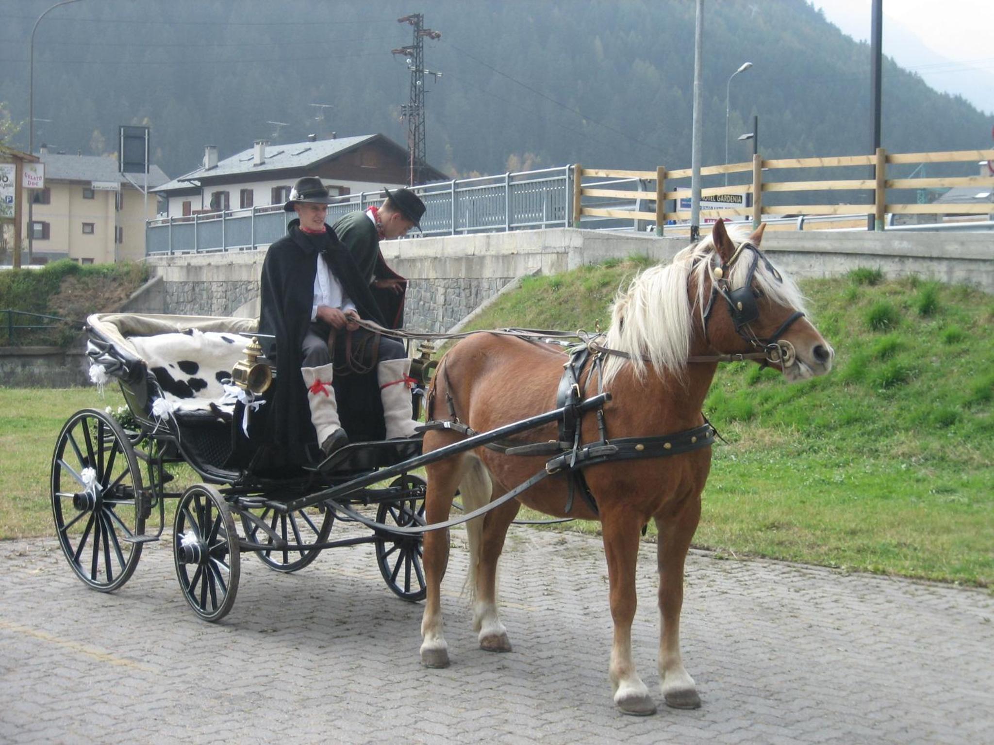 Agriturismo Raethia