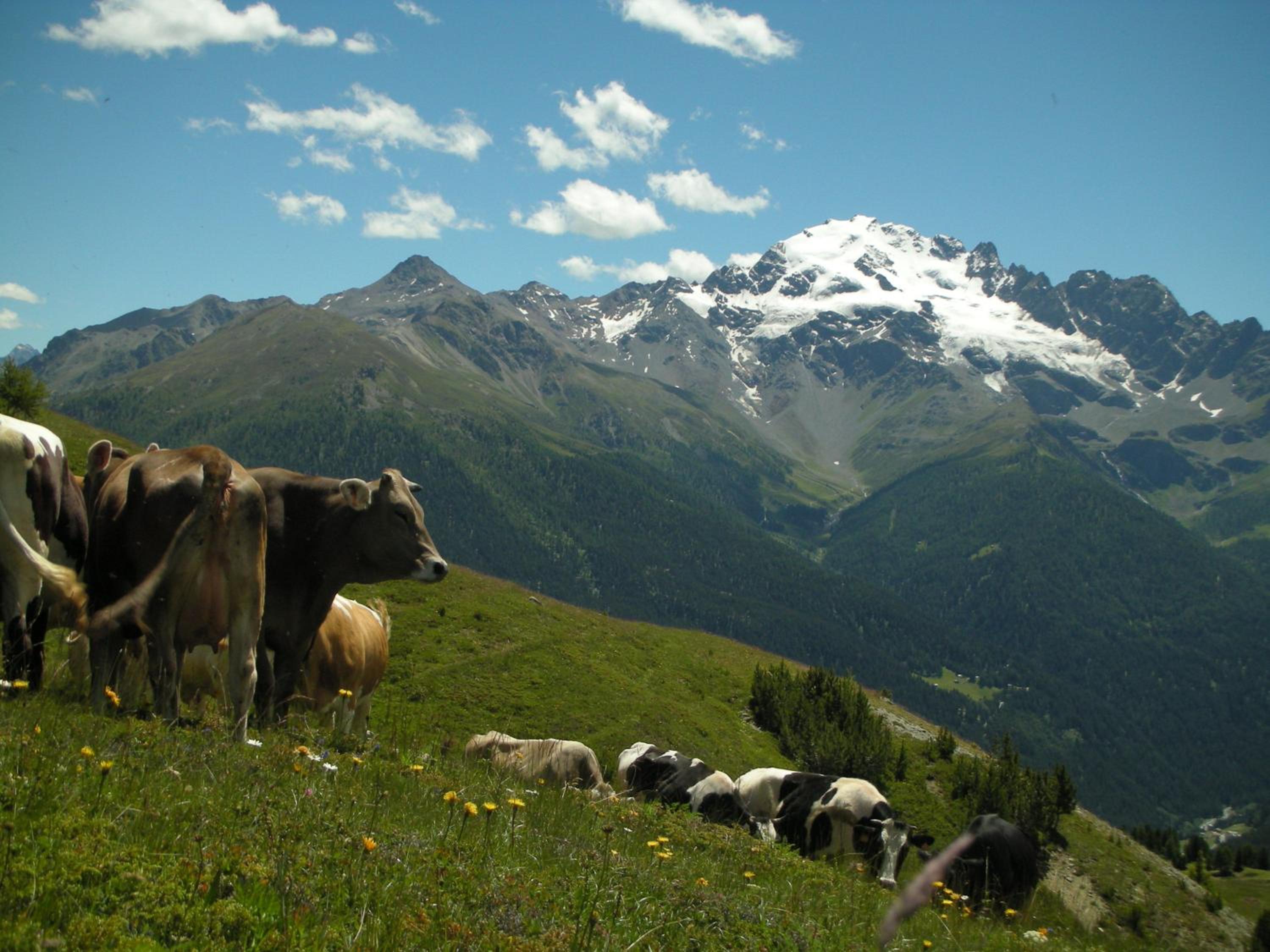 Agriturismo Raethia