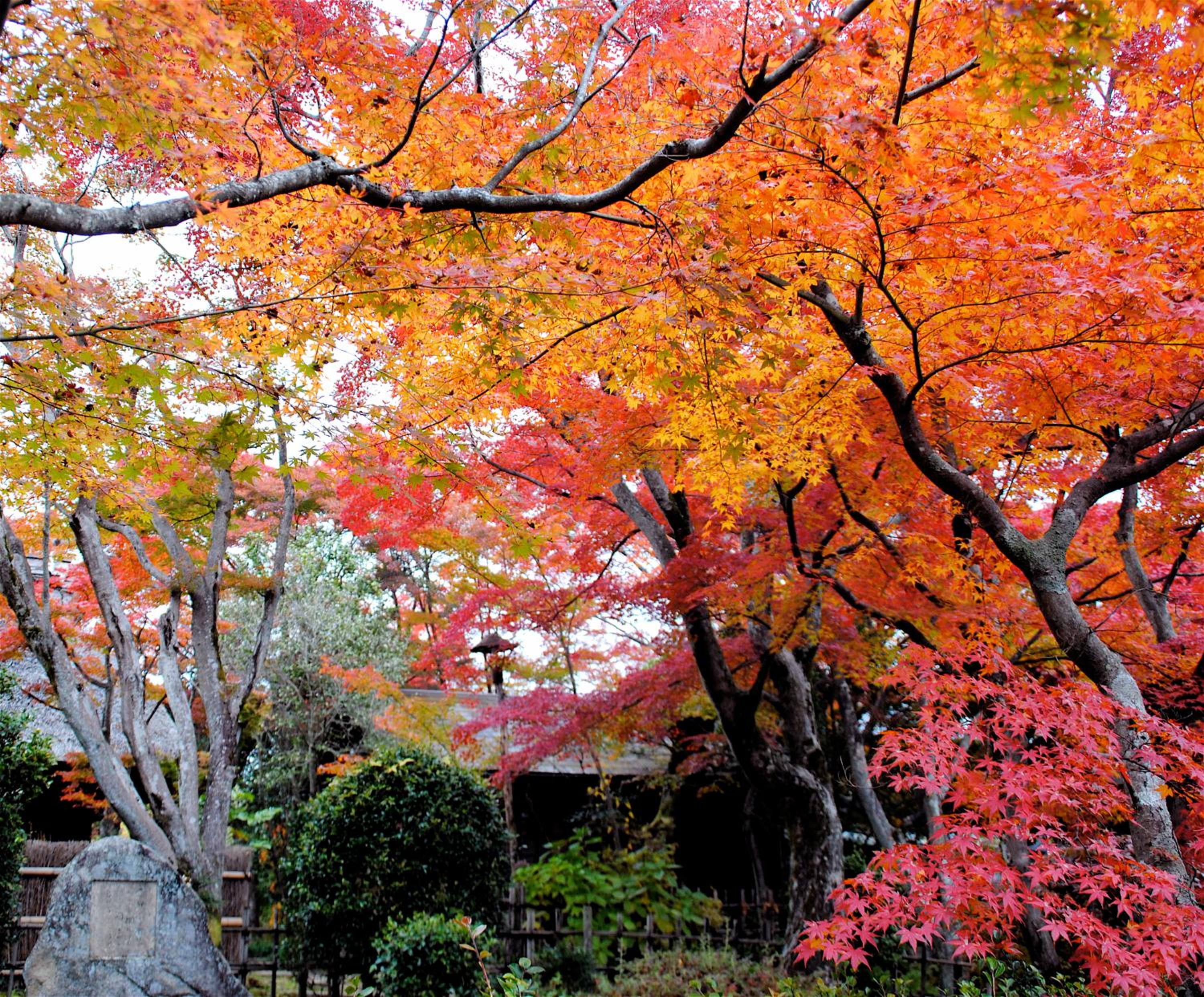 Nagataki