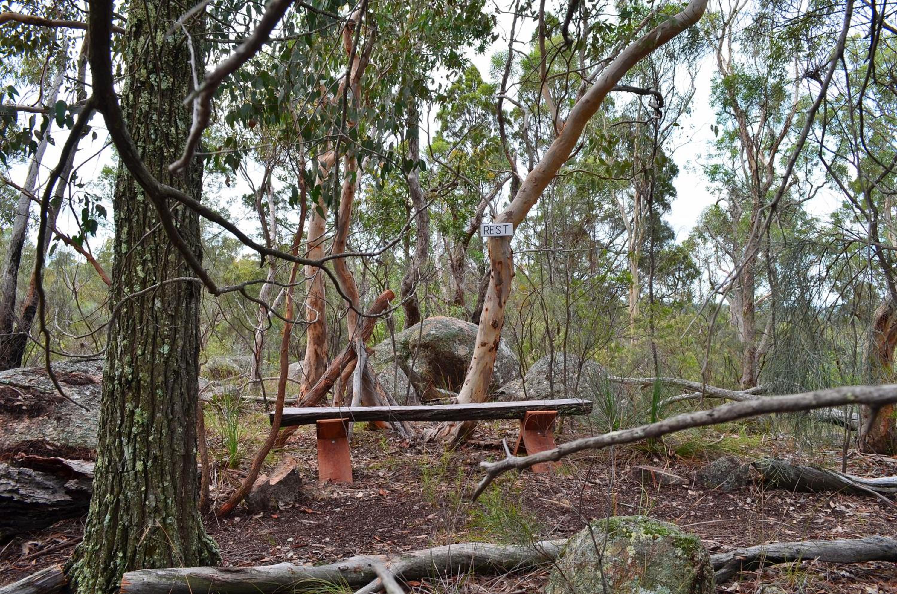 31 The Rocks