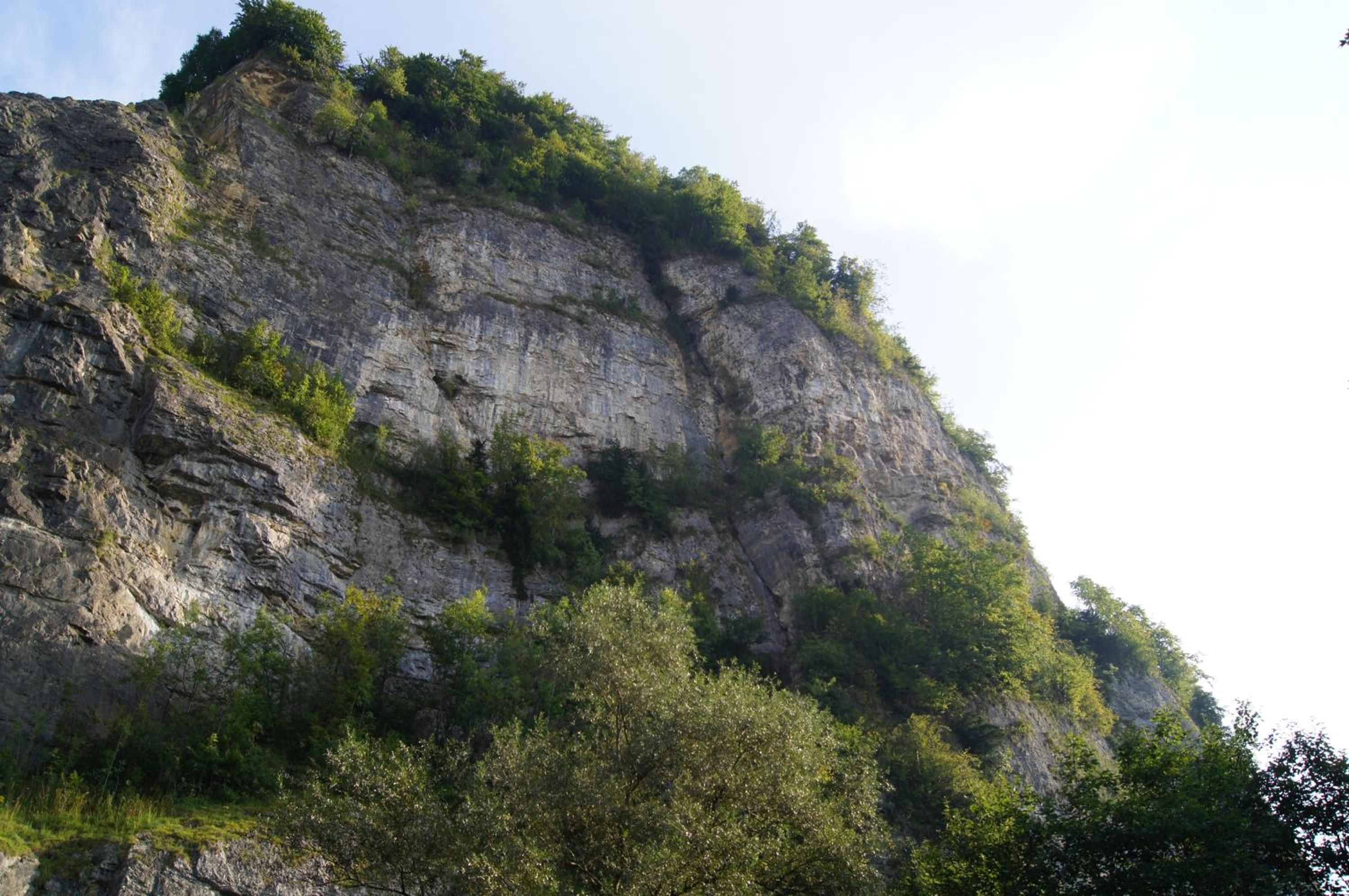 Landgasthof Hirschen