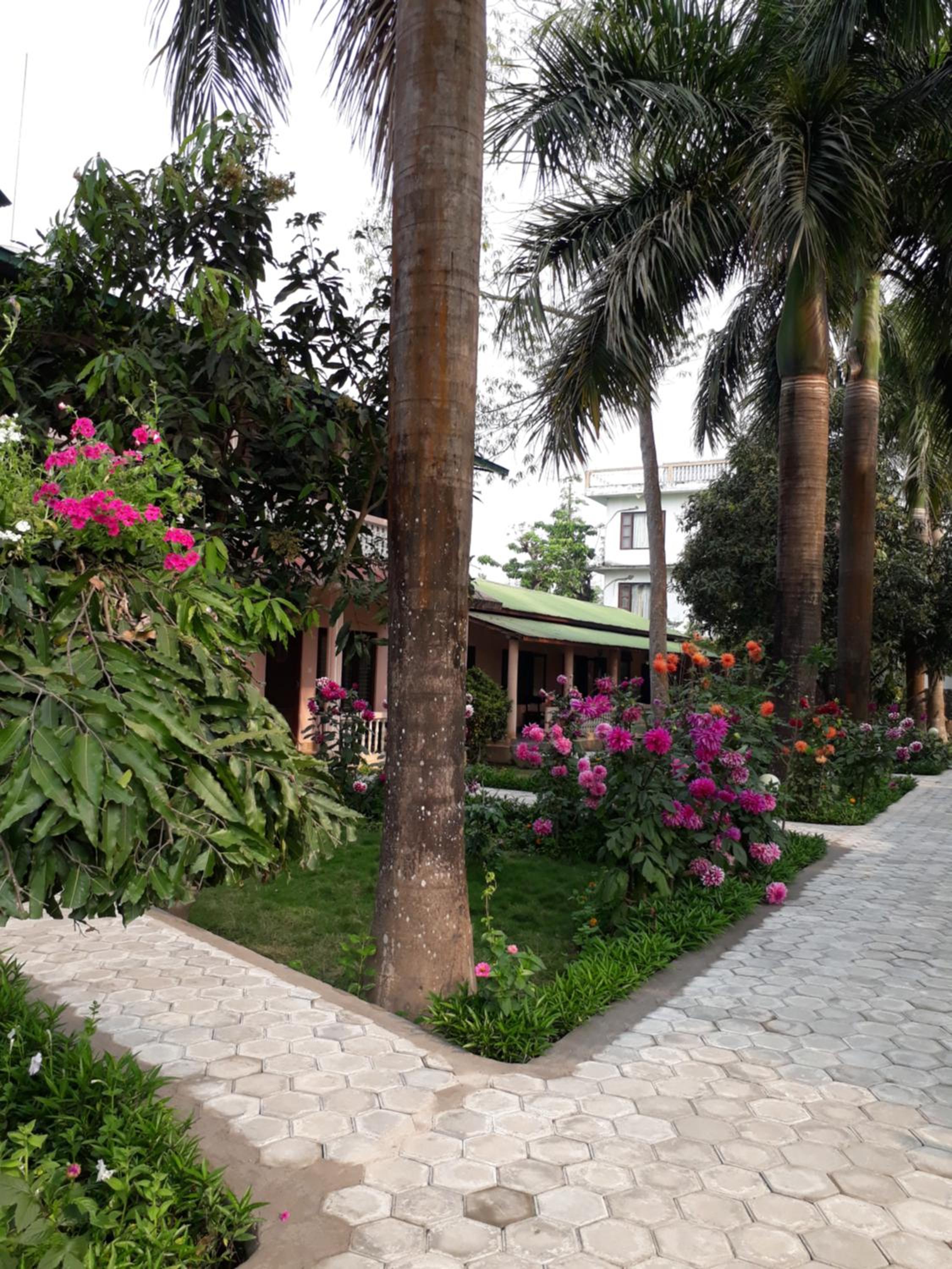 Sauraha Resort