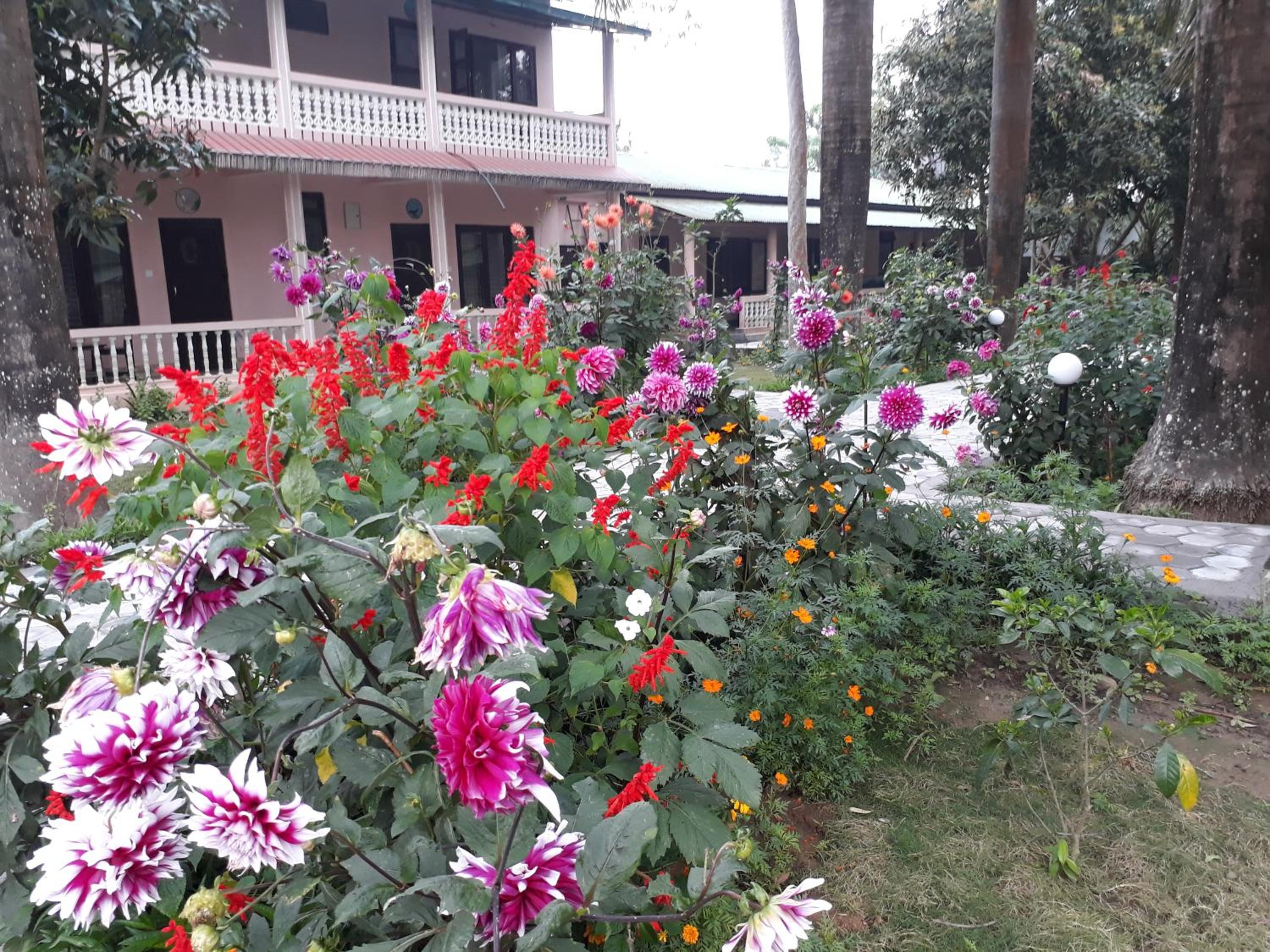 Sauraha Resort