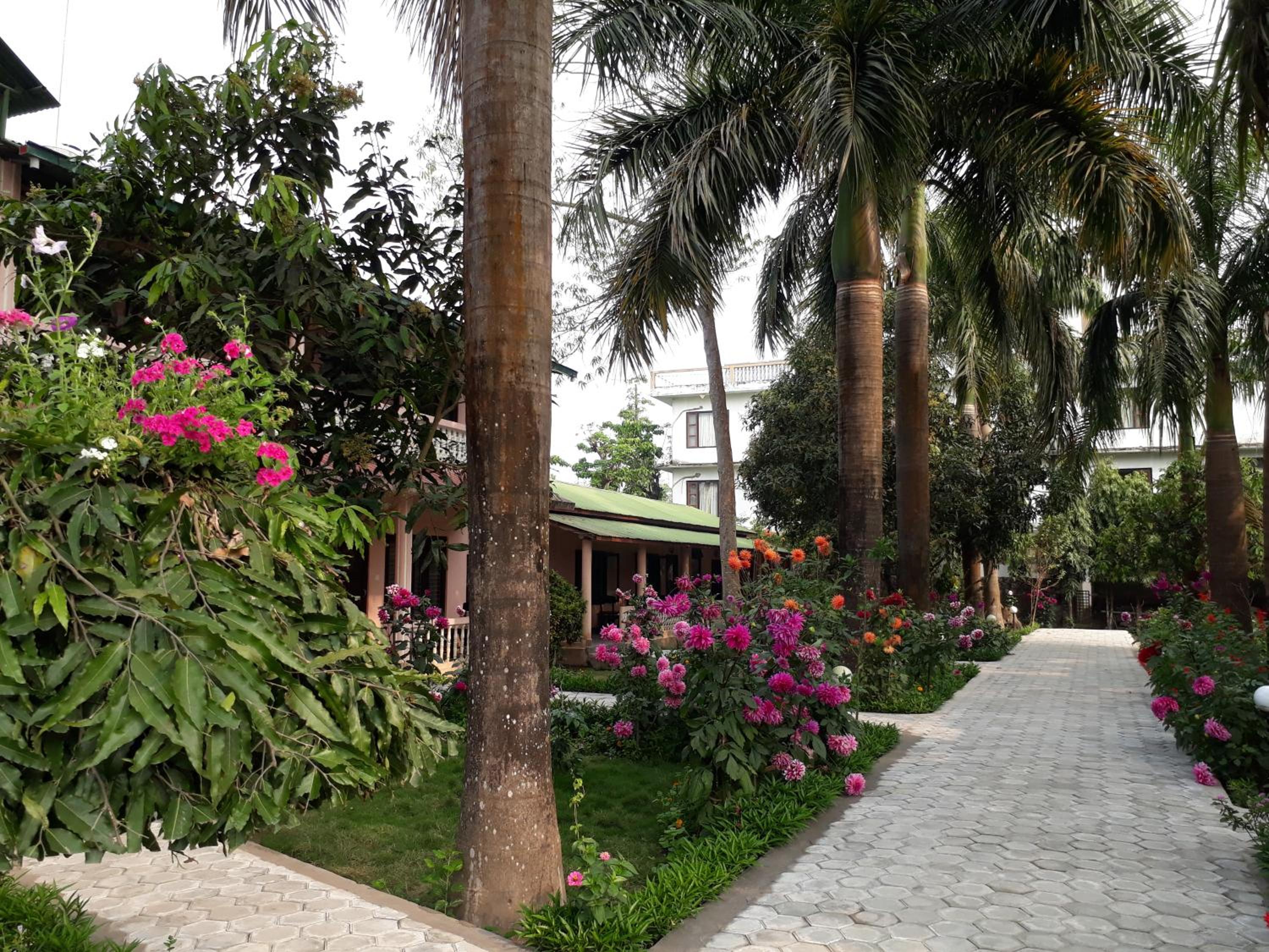 Sauraha Resort