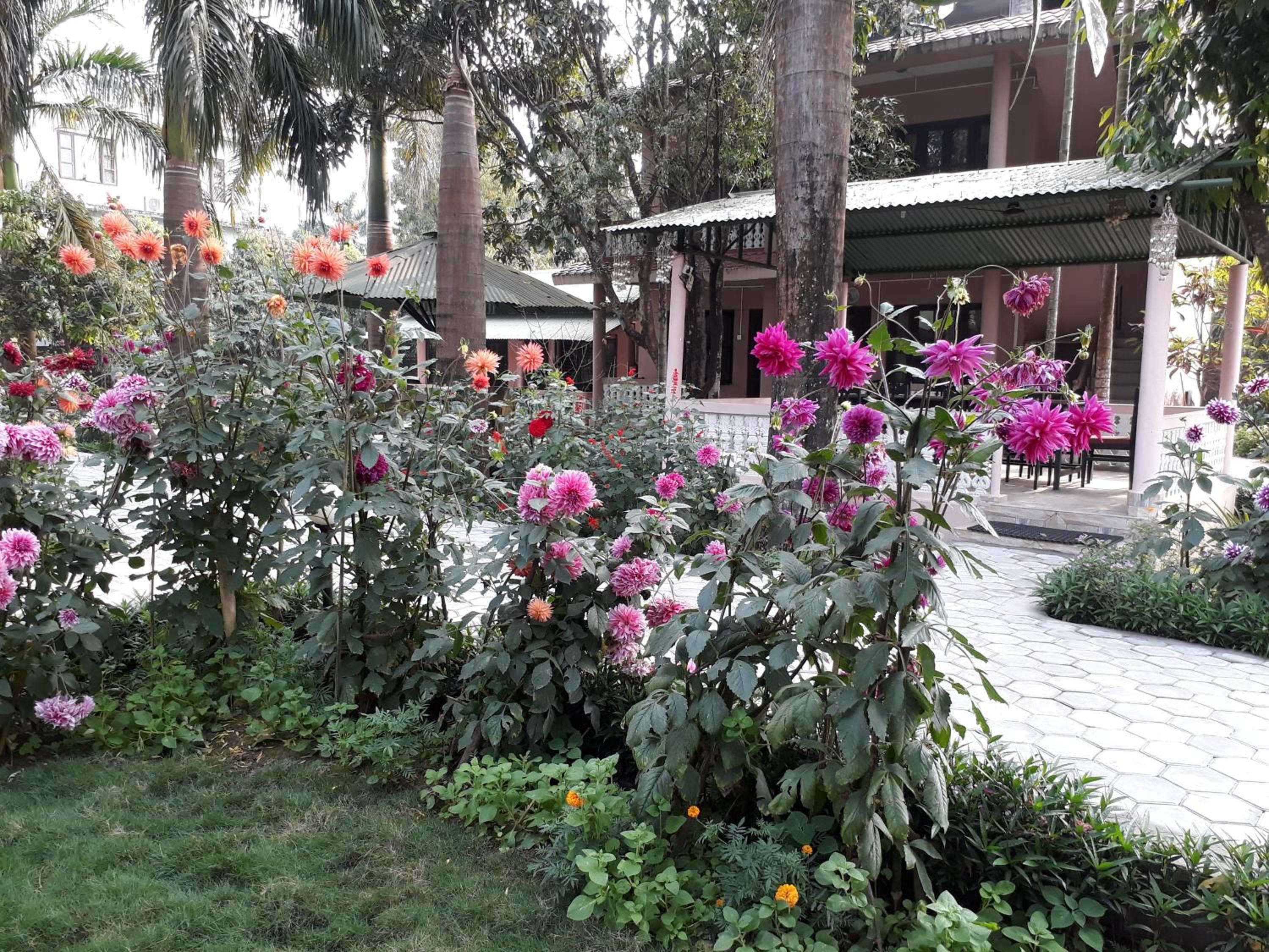 Sauraha Resort