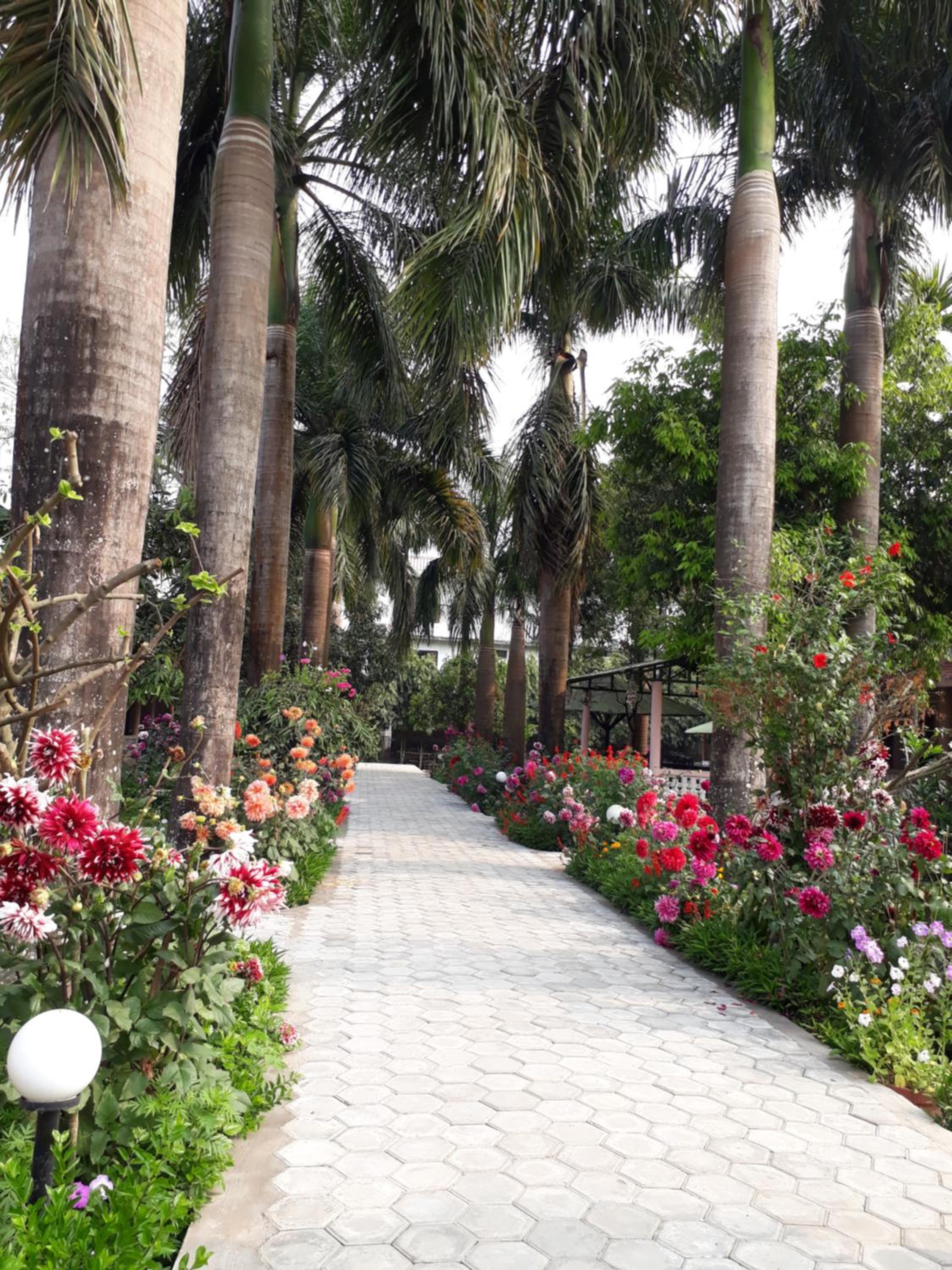 Sauraha Resort