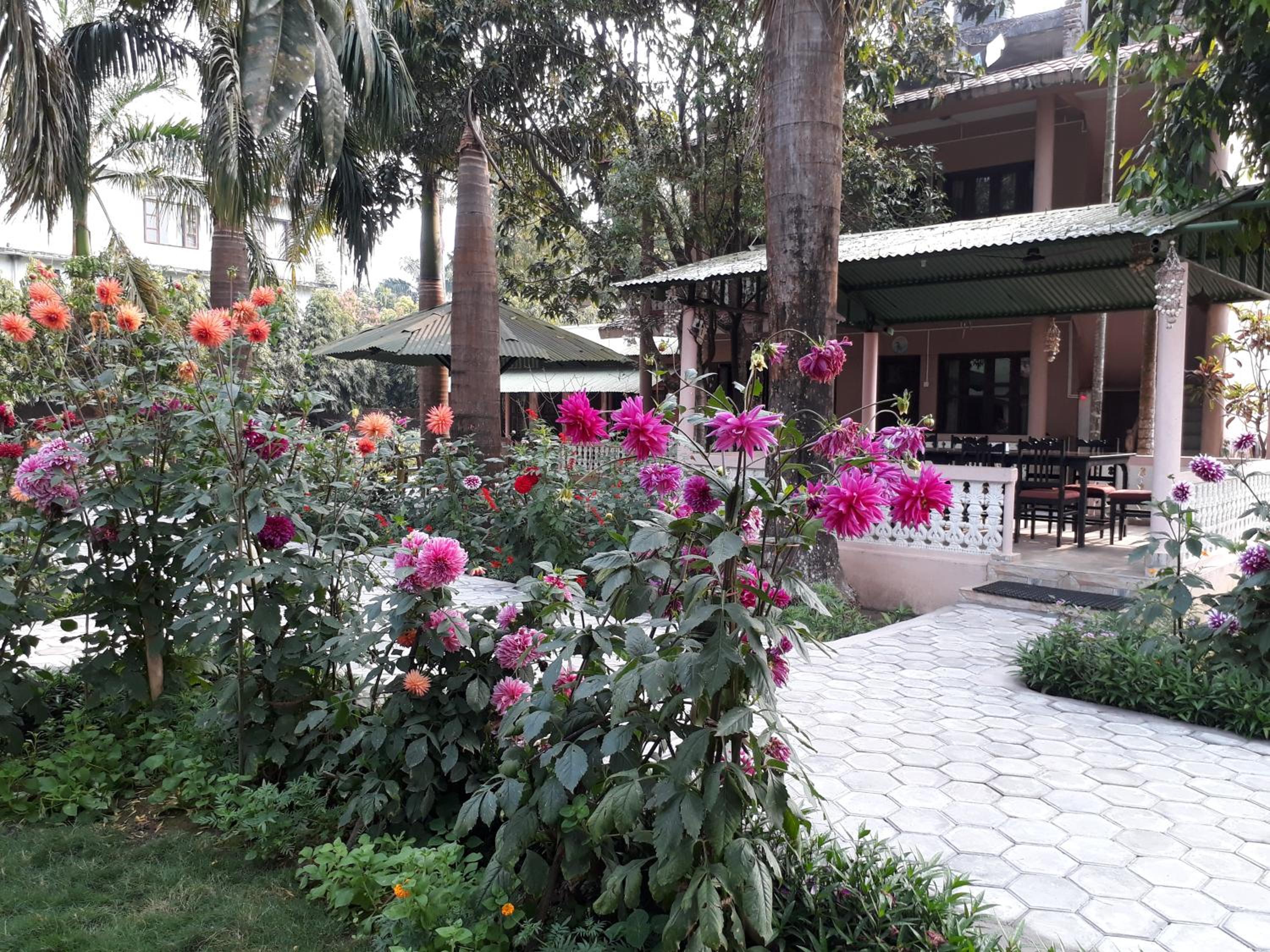 Sauraha Resort