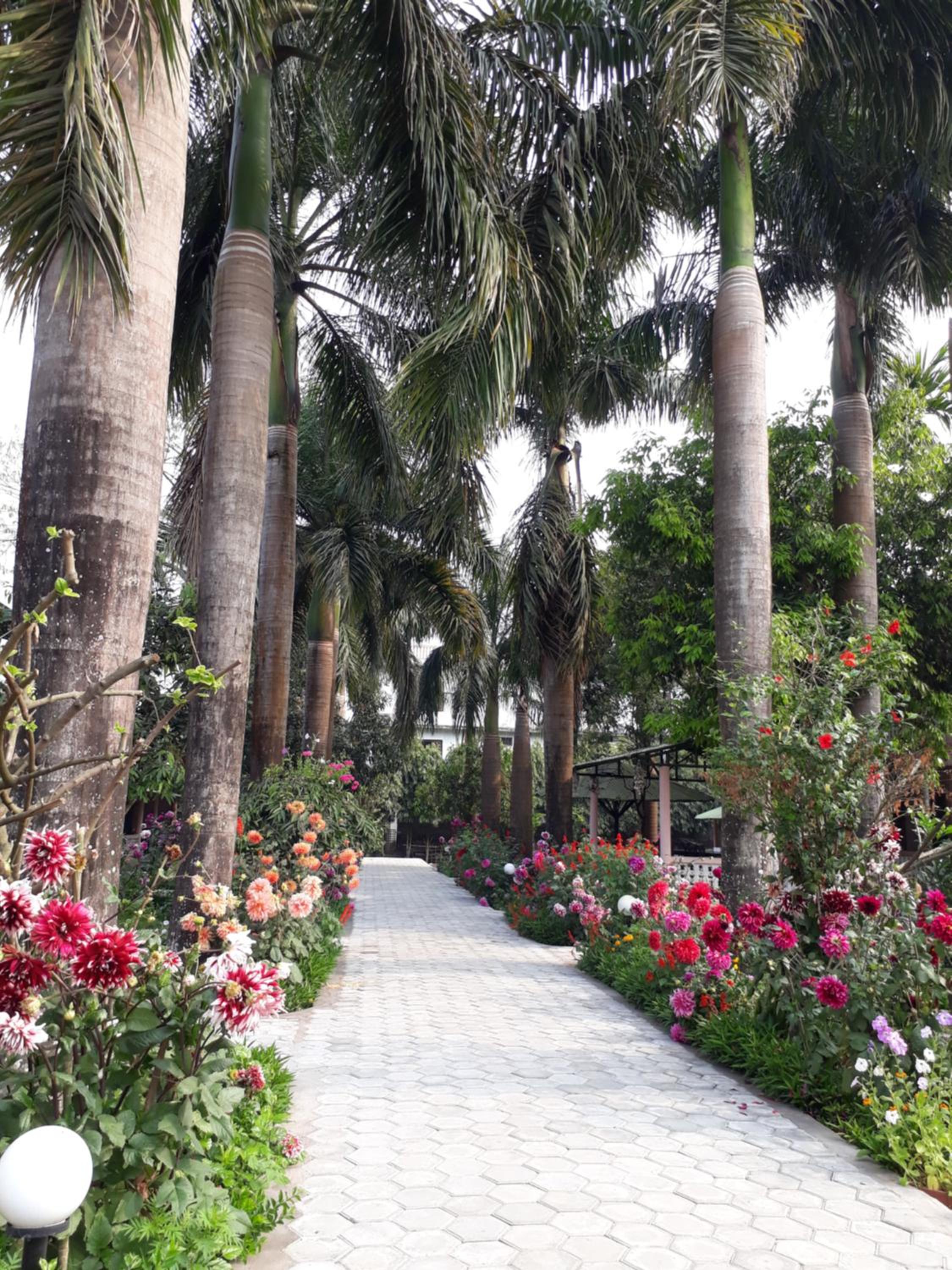 Sauraha Resort